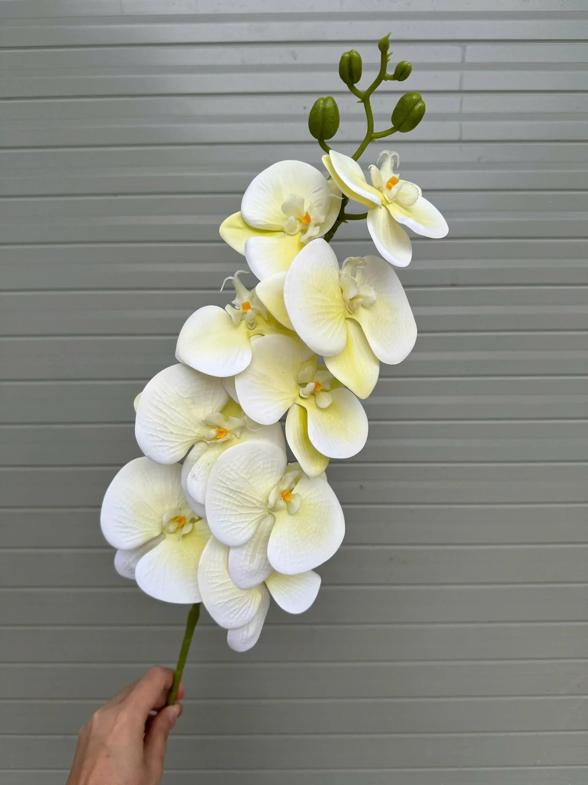 LAN 3D 9 BÔNG - Ảnh 5