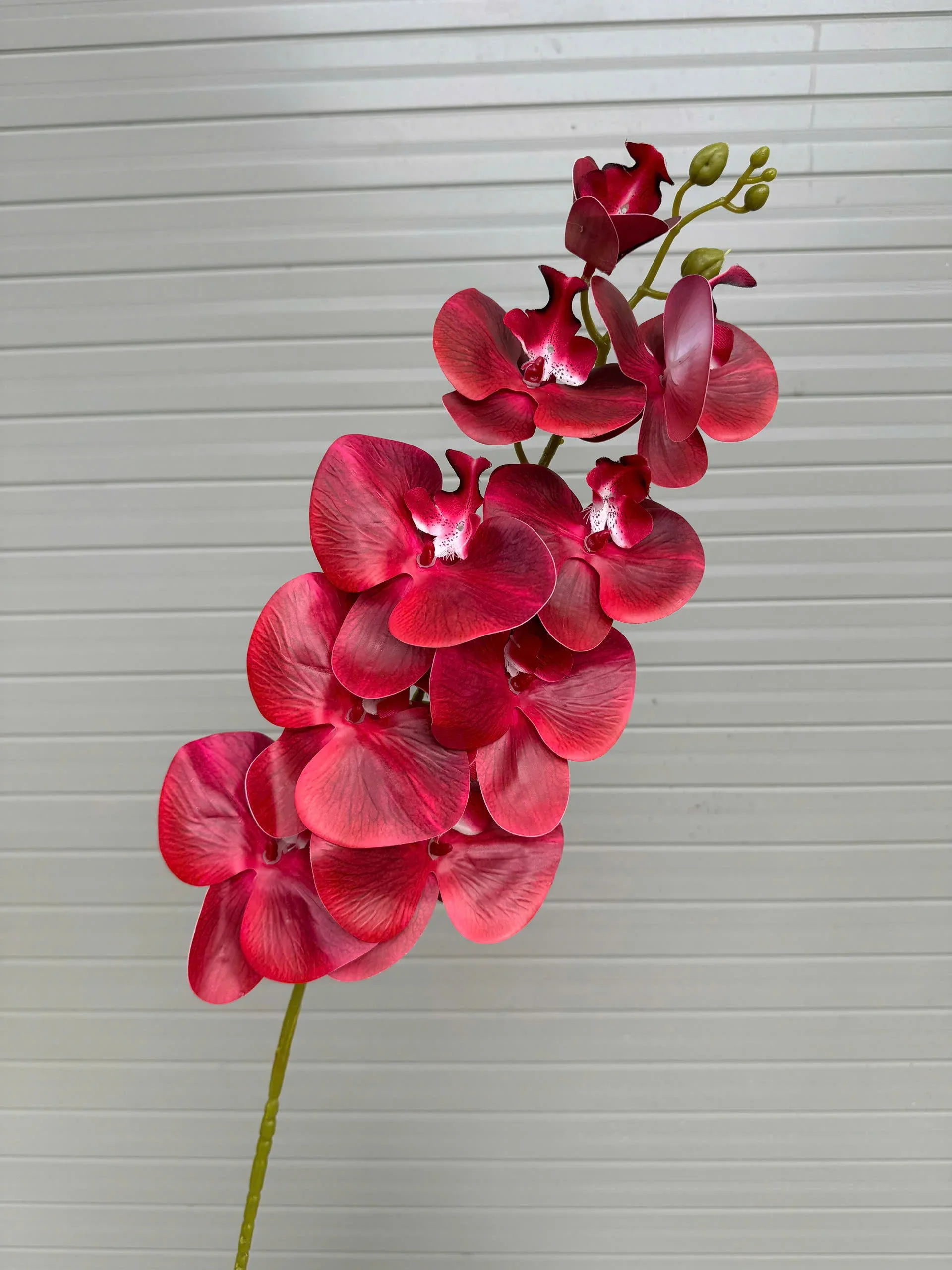 LAN 3D 9 BÔNG - Ảnh 26