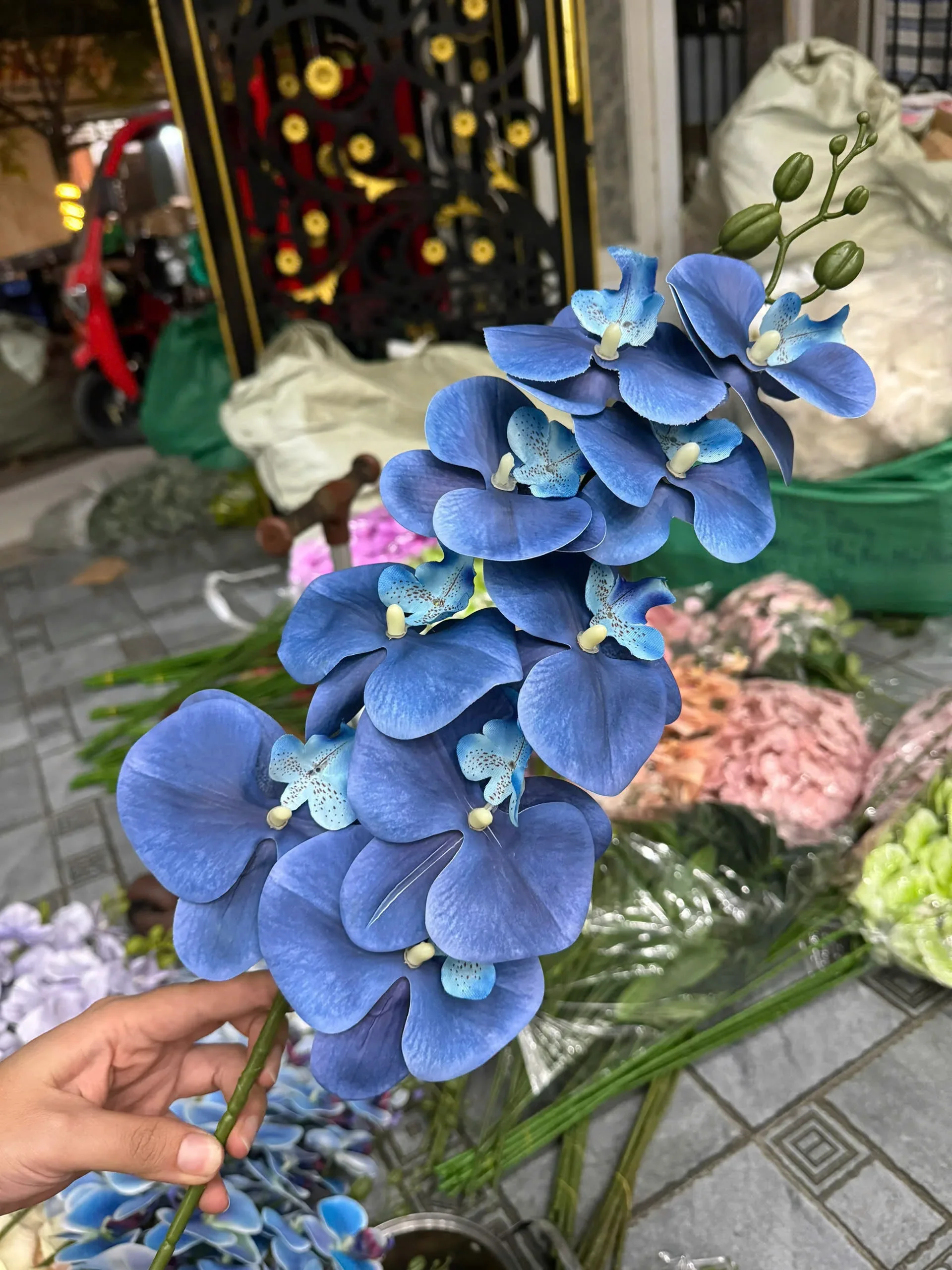 LAN 3D 9 BÔNG - Ảnh 17
