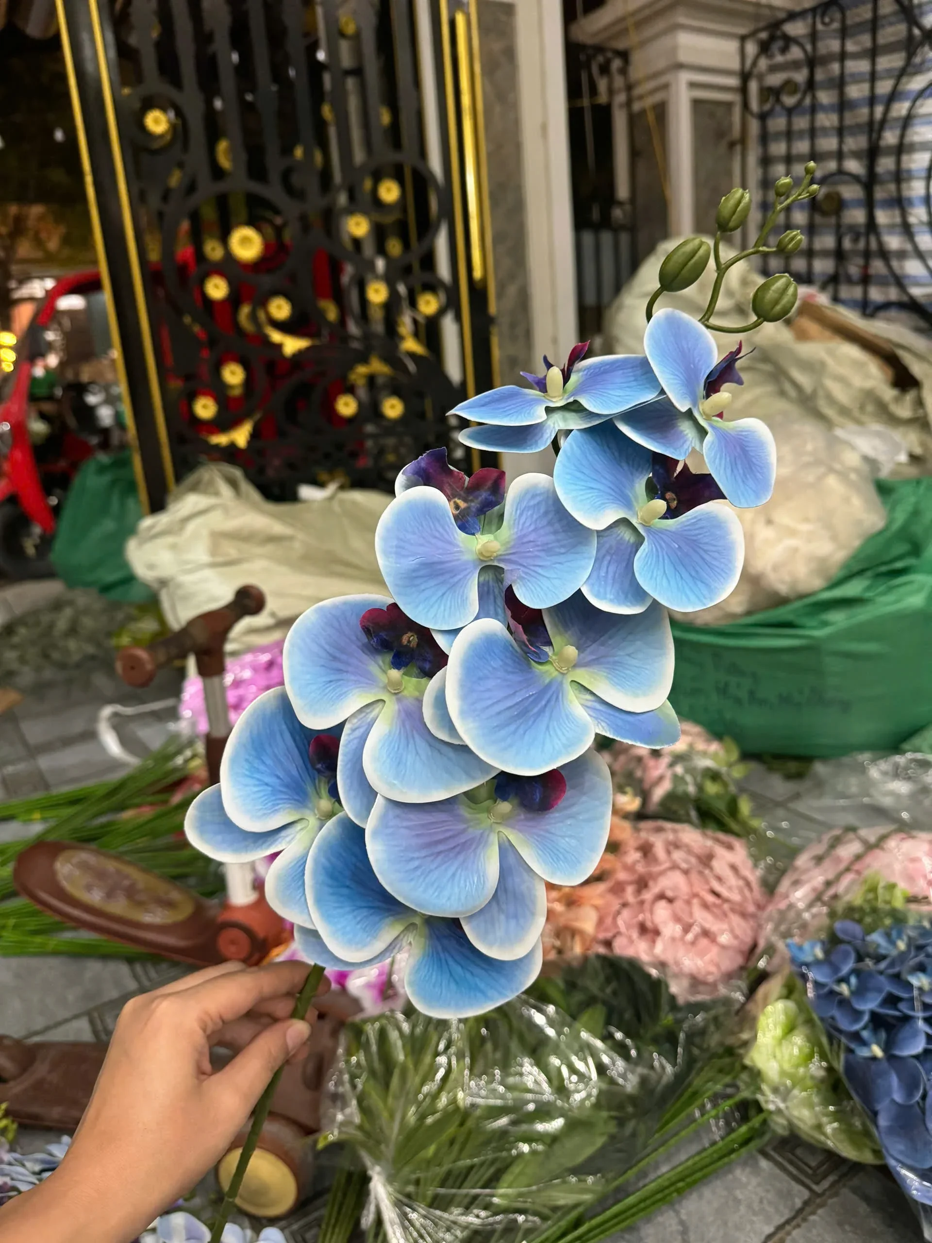LAN 3D 9 BÔNG - Ảnh 14