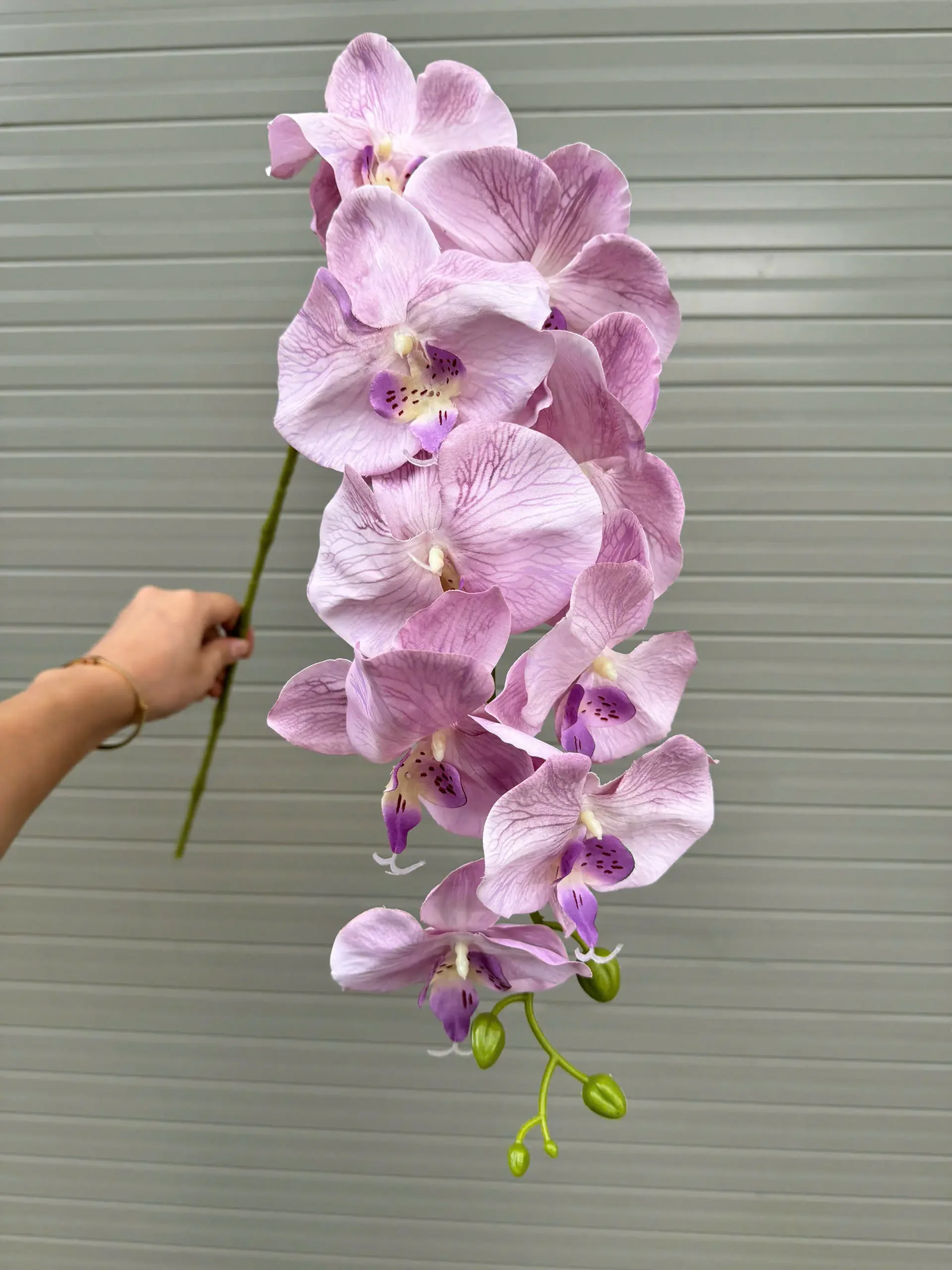 LAN KHÔ 9 BÔNG - Ảnh 3