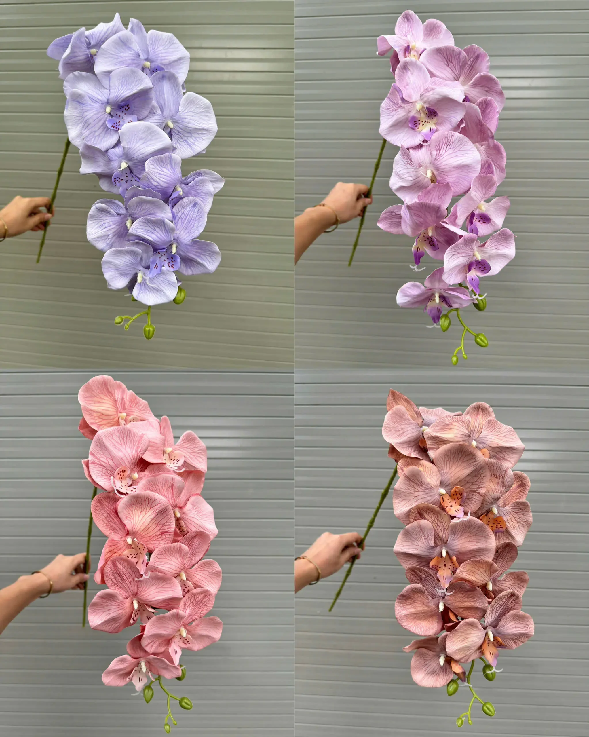 LAN KHÔ 9 BÔNG - Ảnh 11
