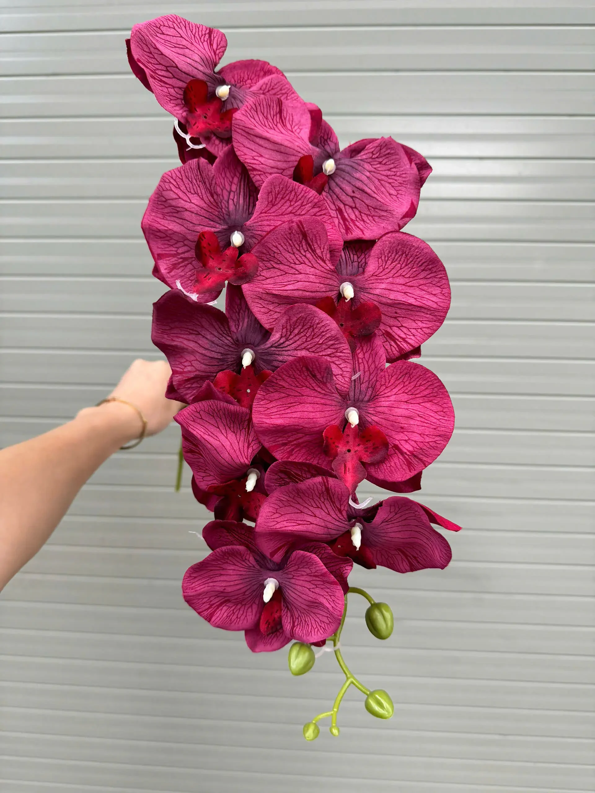 LAN KHÔ 9 BÔNG - Ảnh 12