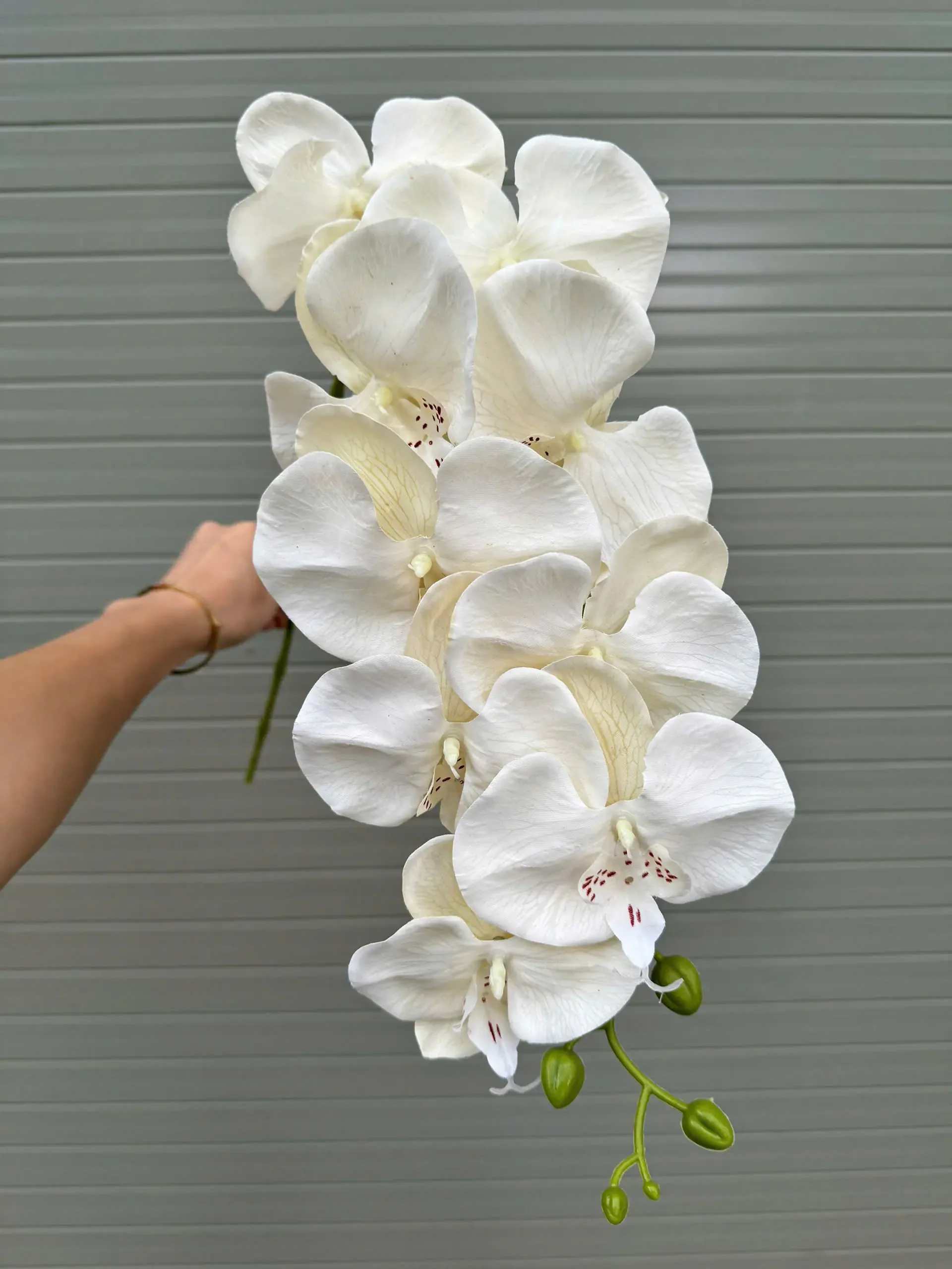LAN KHÔ 9 BÔNG - Ảnh 8