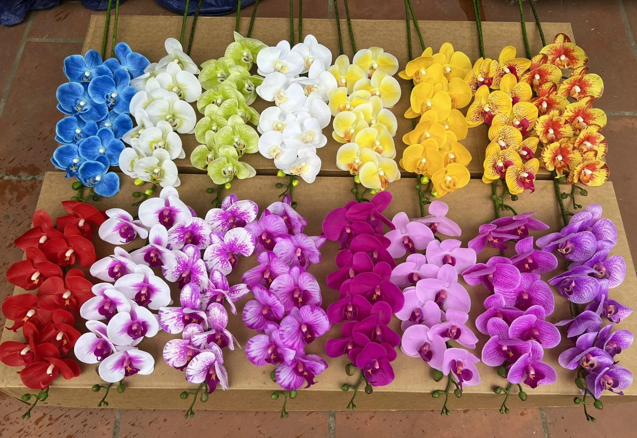 LAN ƯỚT 9 BÔNG - Ảnh 13