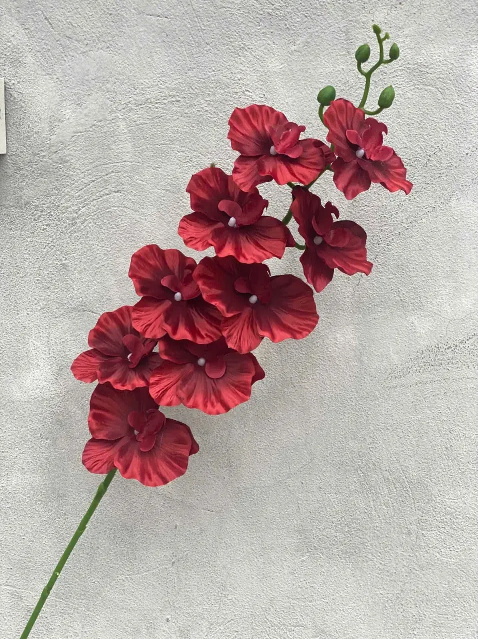 LAN XOĂN VẢI VIỆT NAM - Ảnh 8