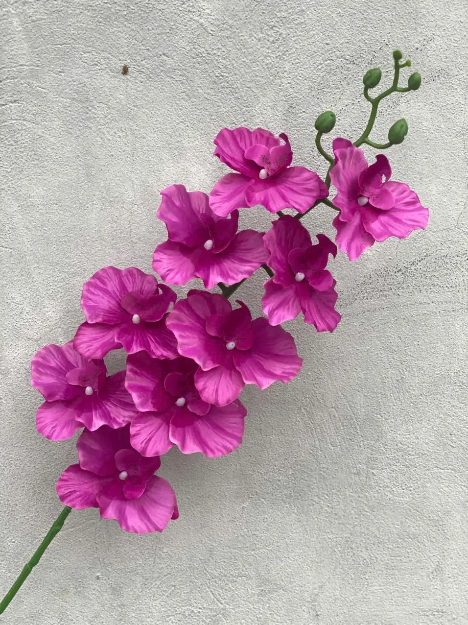 LAN XOĂN VẢI VIỆT NAM - Ảnh 4