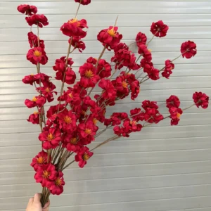 MAI RỪNG