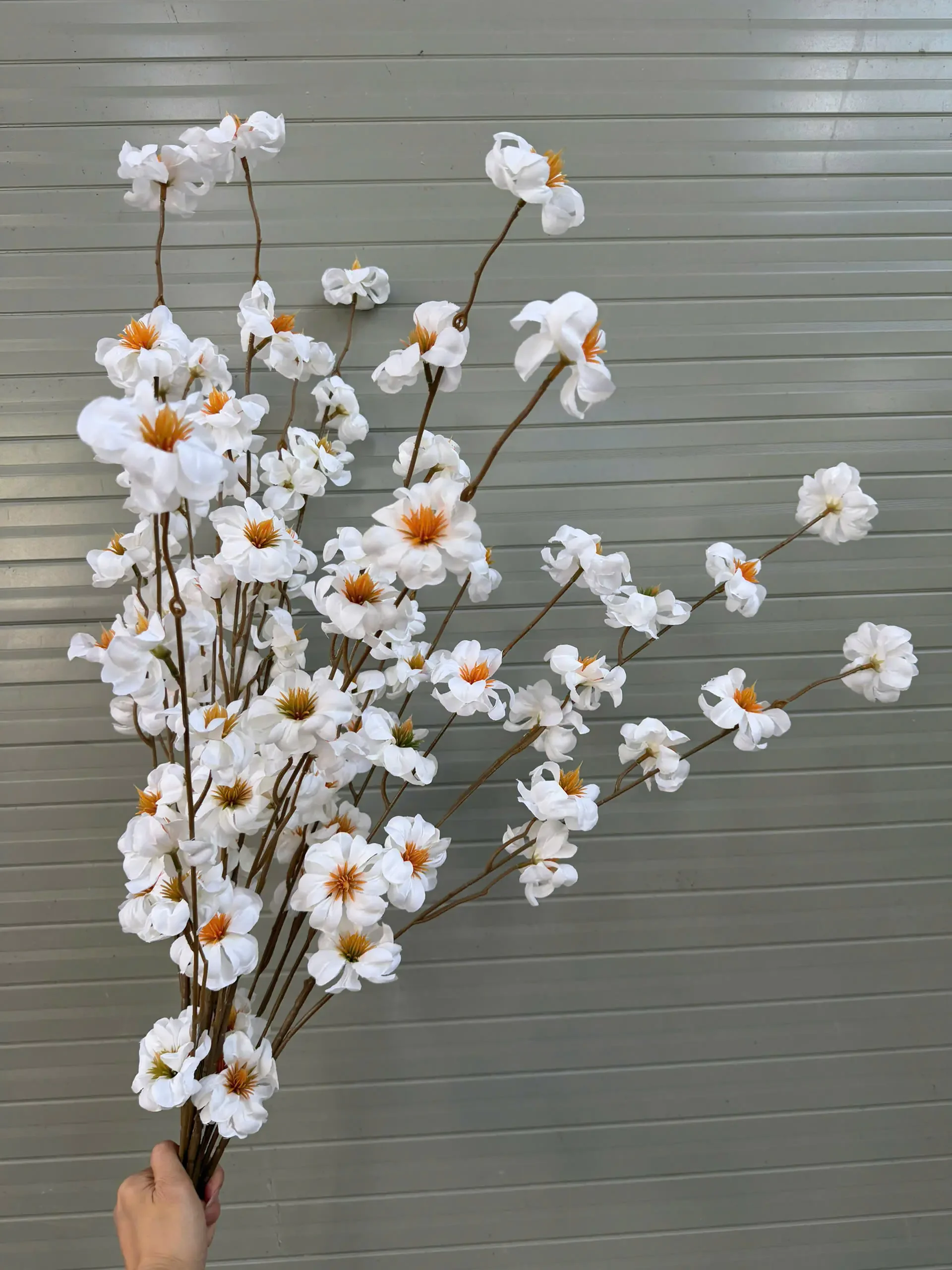 MAI RỪNG - Ảnh 7