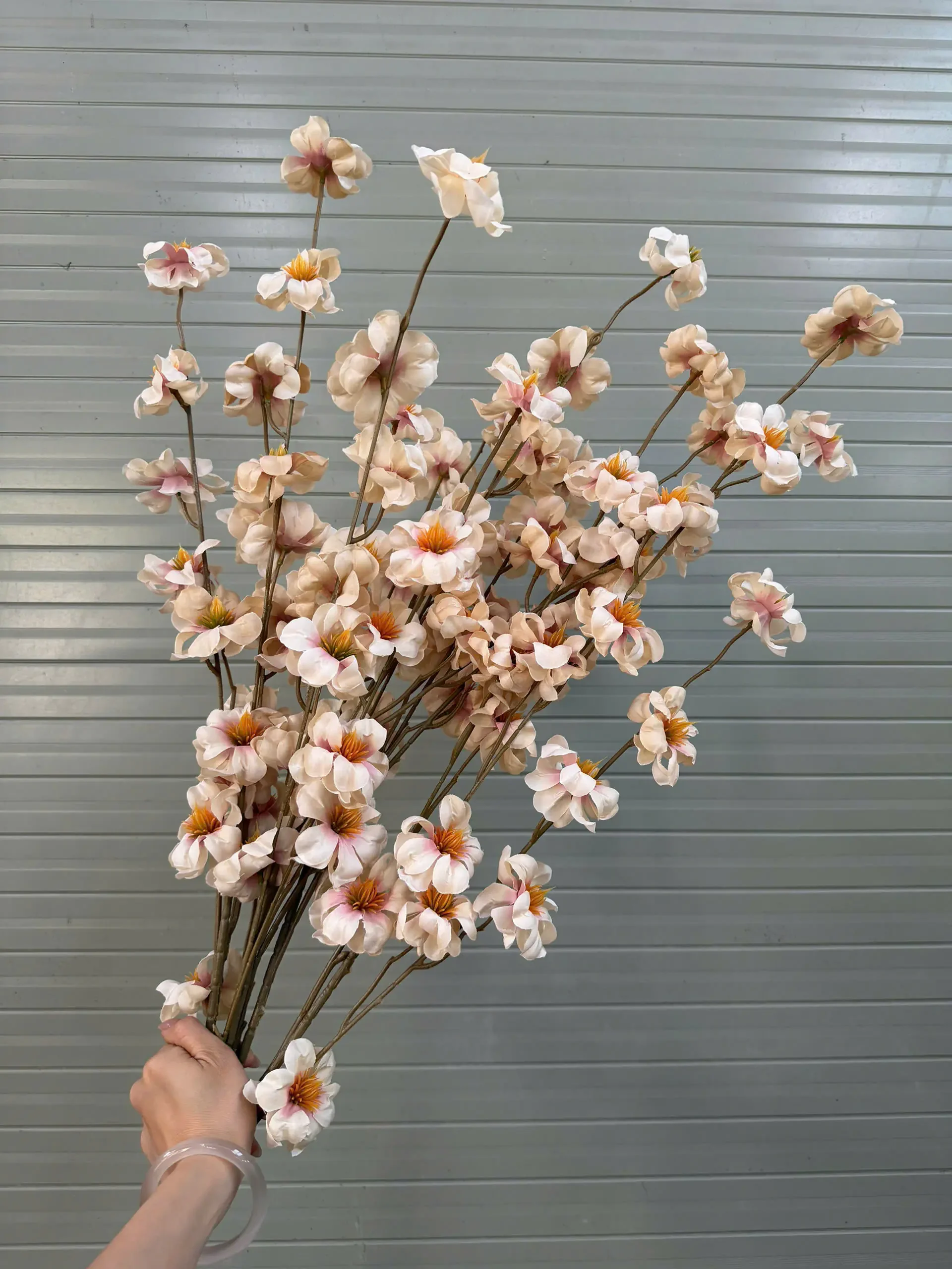 MAI RỪNG - Ảnh 2