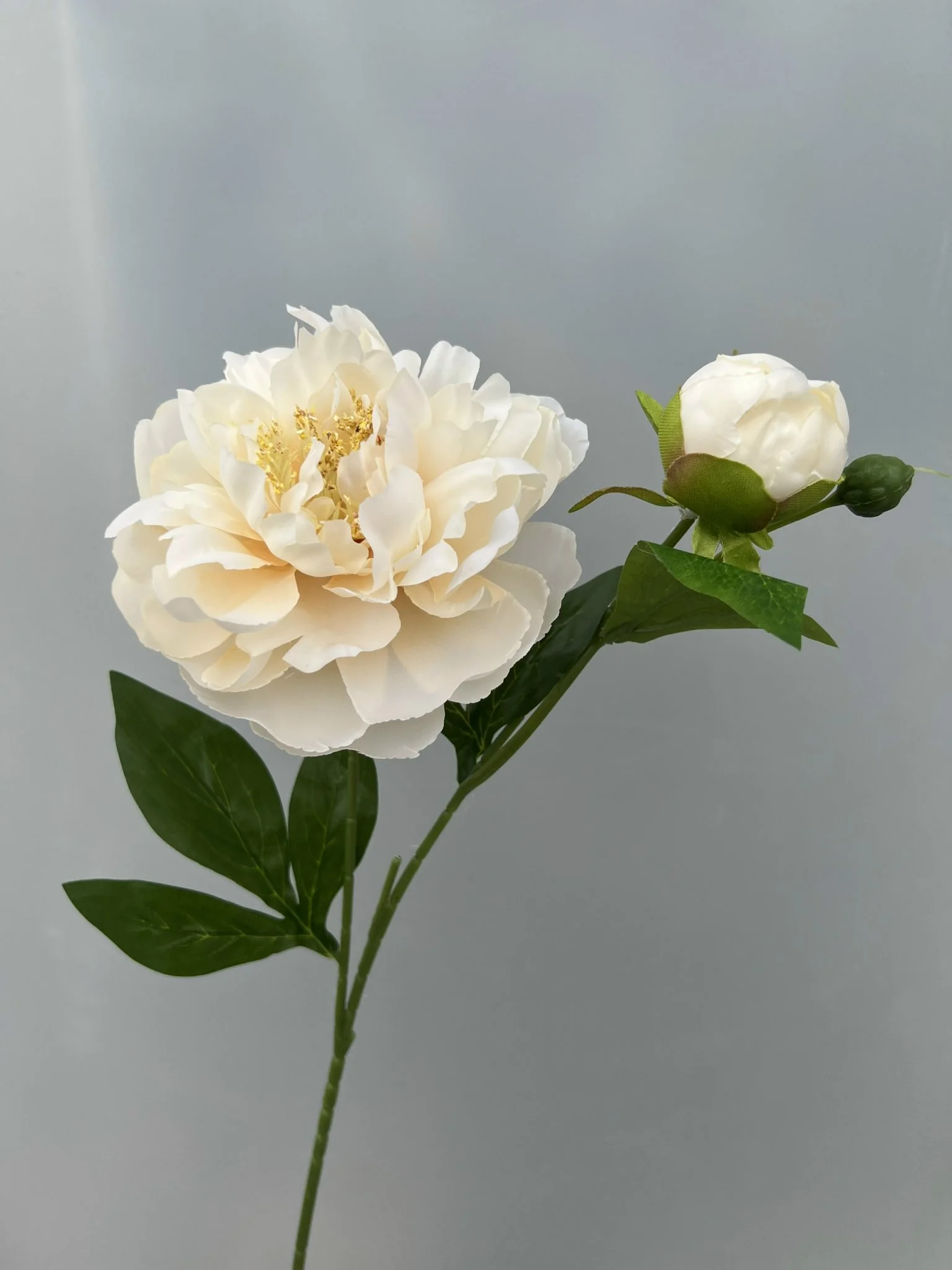 MẪU ĐƠN 1 BÔNG 1 NỤ - Ảnh 4