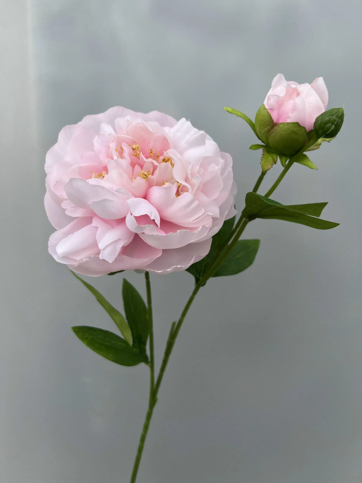 MẪU ĐƠN 1 BÔNG 1 NỤ - Ảnh 12