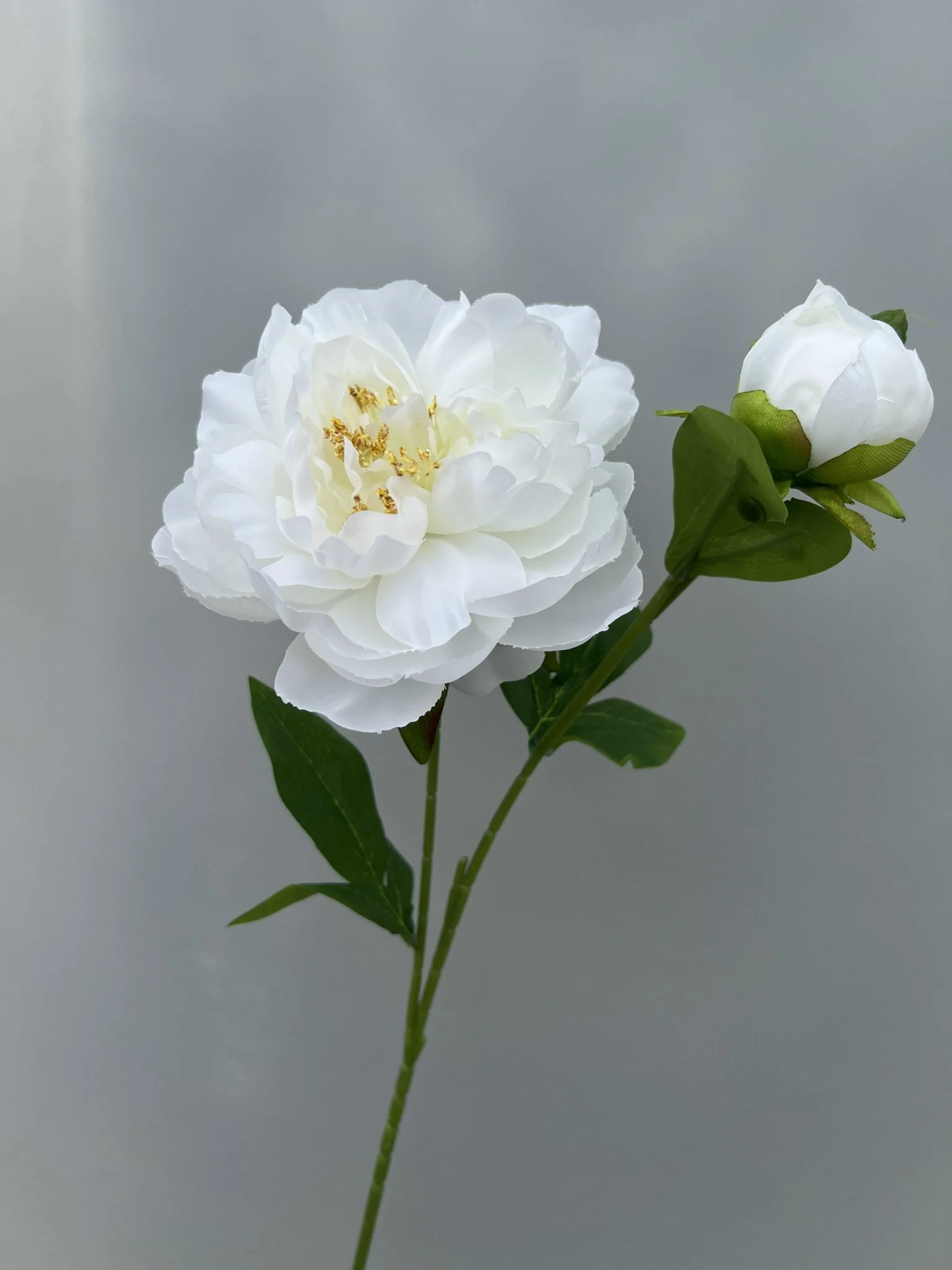 MẪU ĐƠN 1 BÔNG 1 NỤ - Ảnh 8
