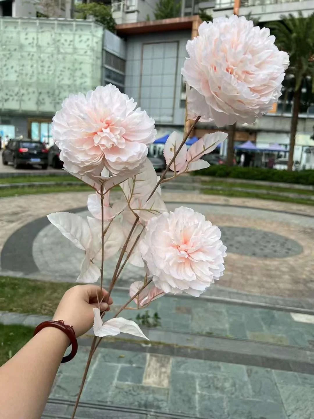 MẪU ĐƠN VIP