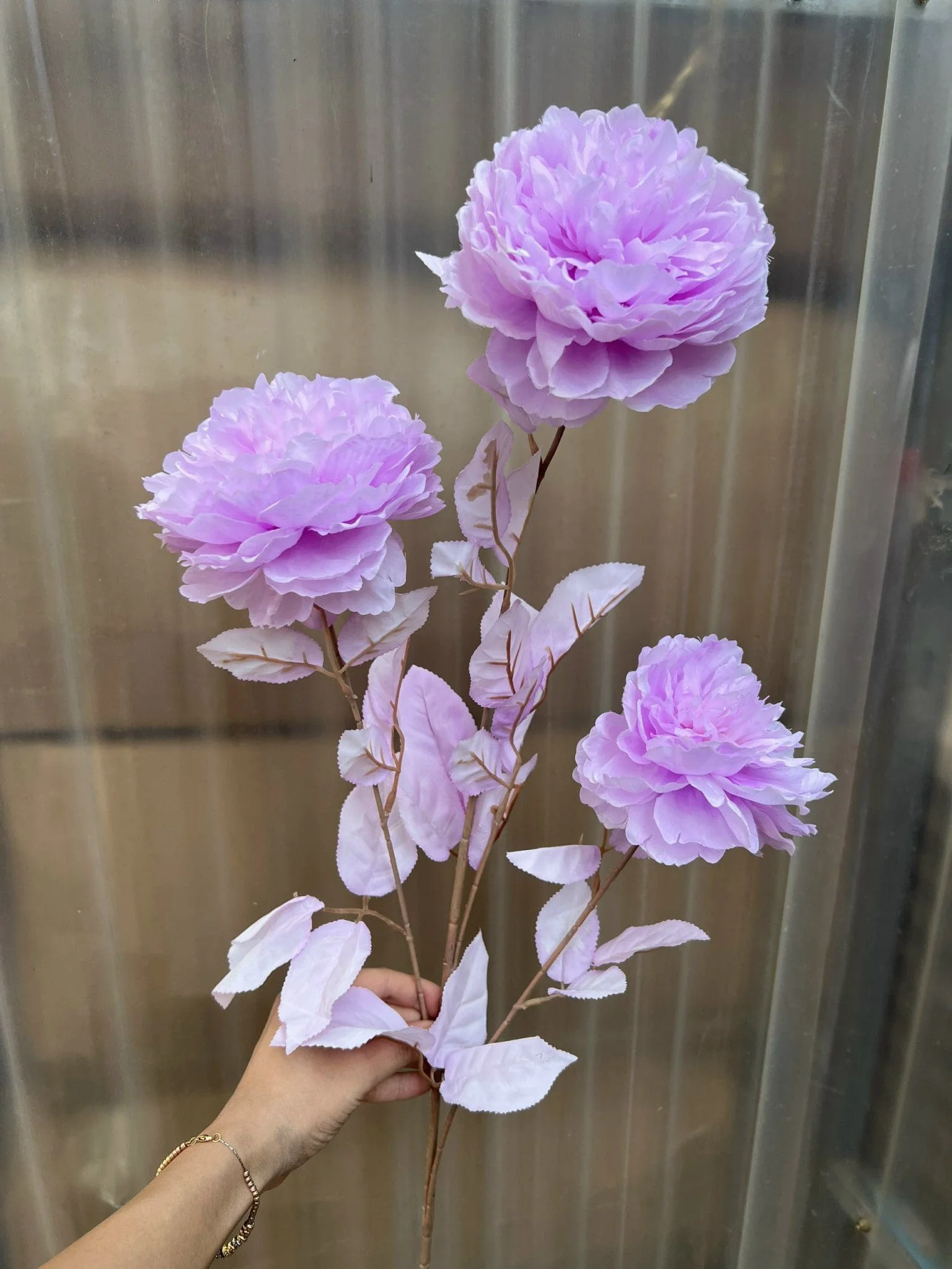 MẪU ĐƠN VIP - Ảnh 8