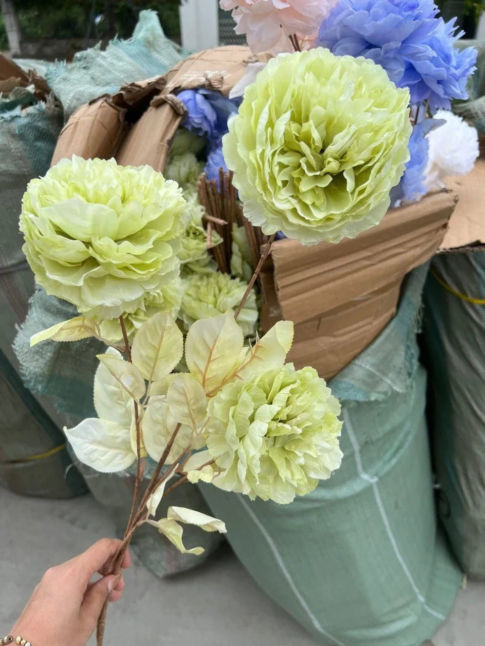 MẪU ĐƠN VIP - Ảnh 10