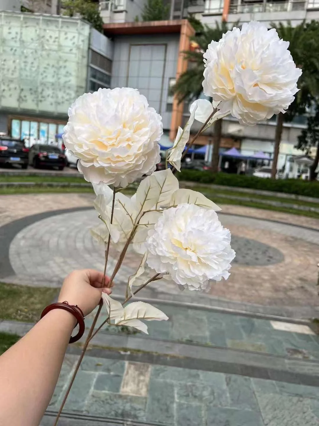 MẪU ĐƠN VIP - Ảnh 9