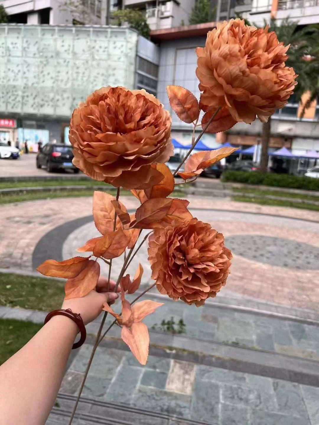 MẪU ĐƠN VIP - Ảnh 7
