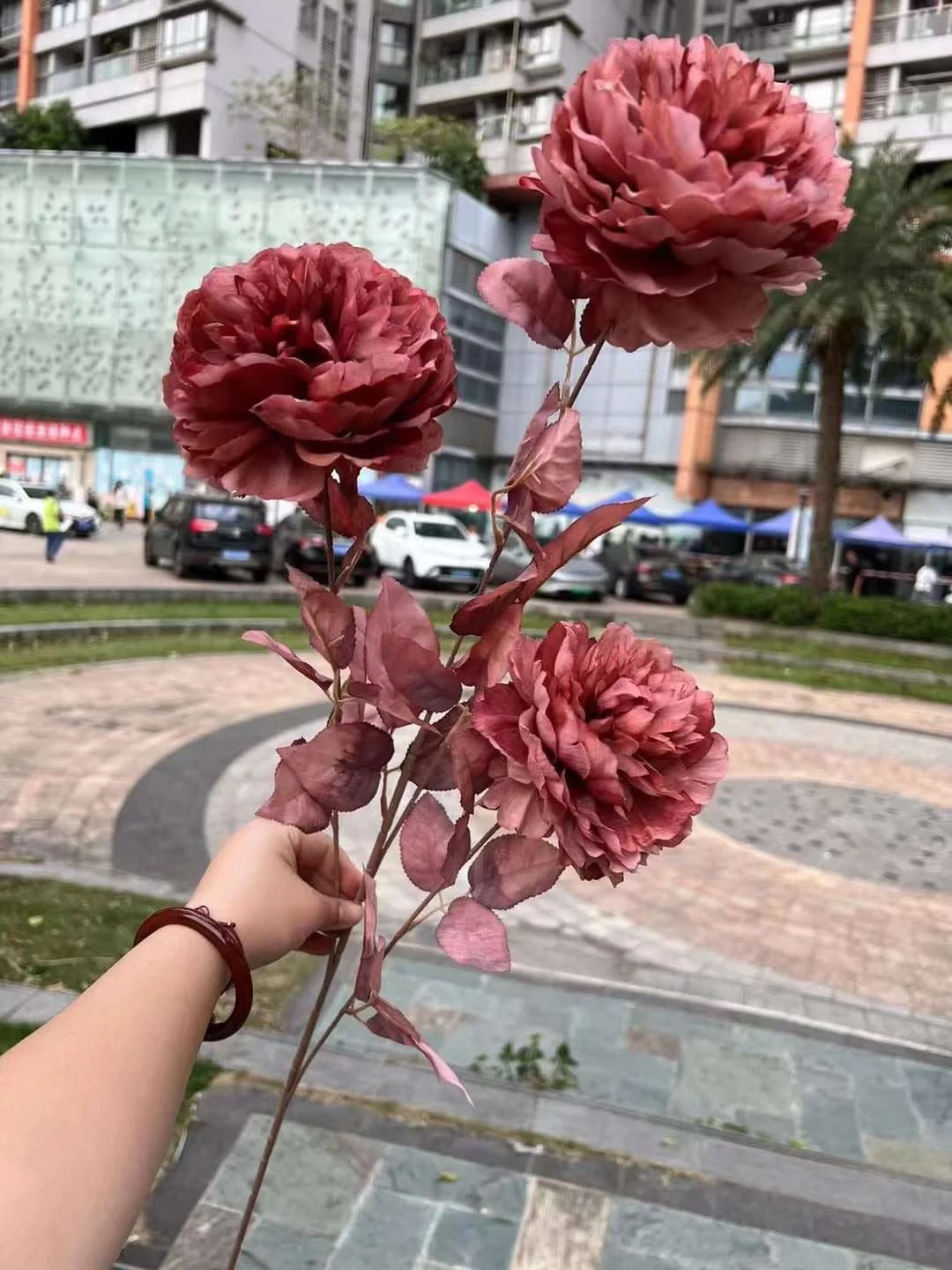 MẪU ĐƠN VIP - Ảnh 4