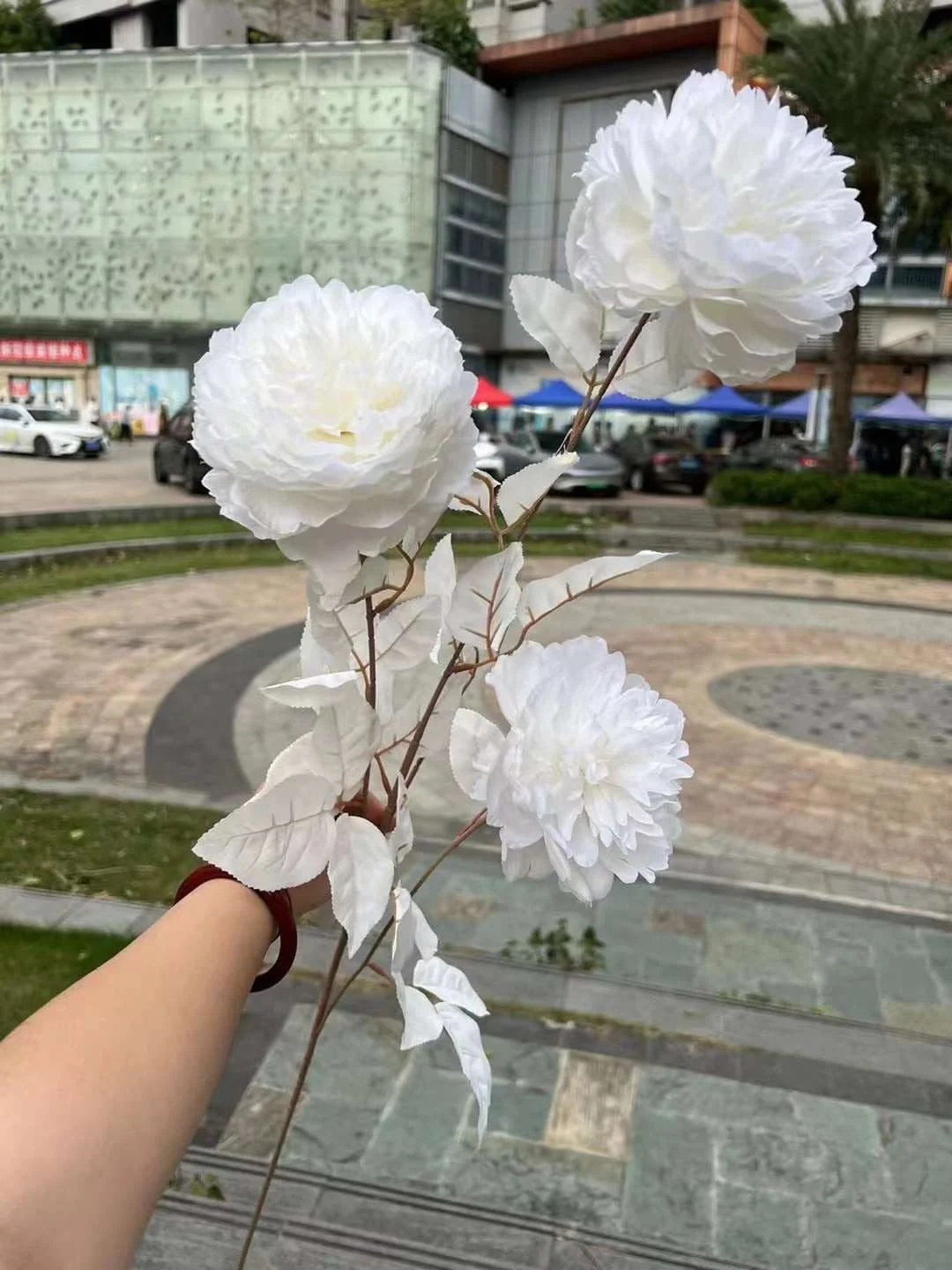 MẪU ĐƠN VIP - Ảnh 3