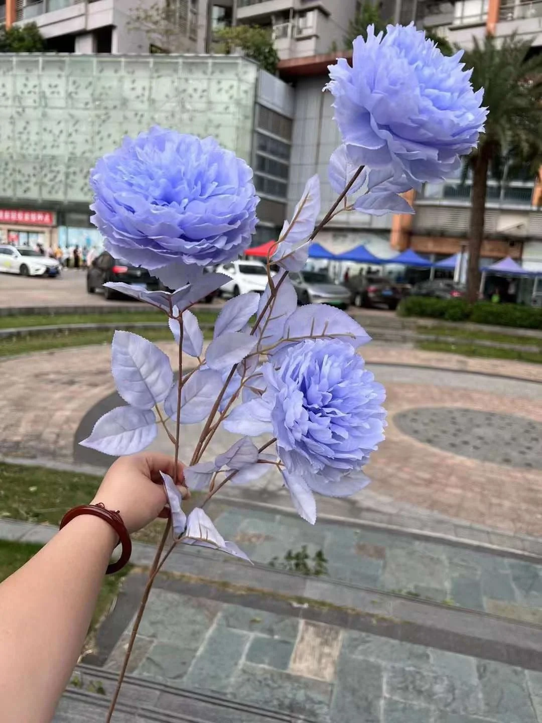 MẪU ĐƠN VIP - Ảnh 5