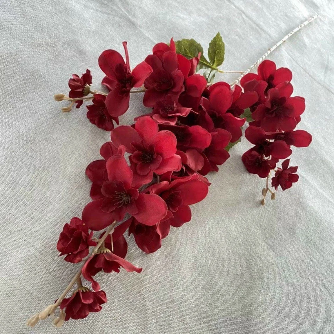 MỘC HƯƠNG - Ảnh 9