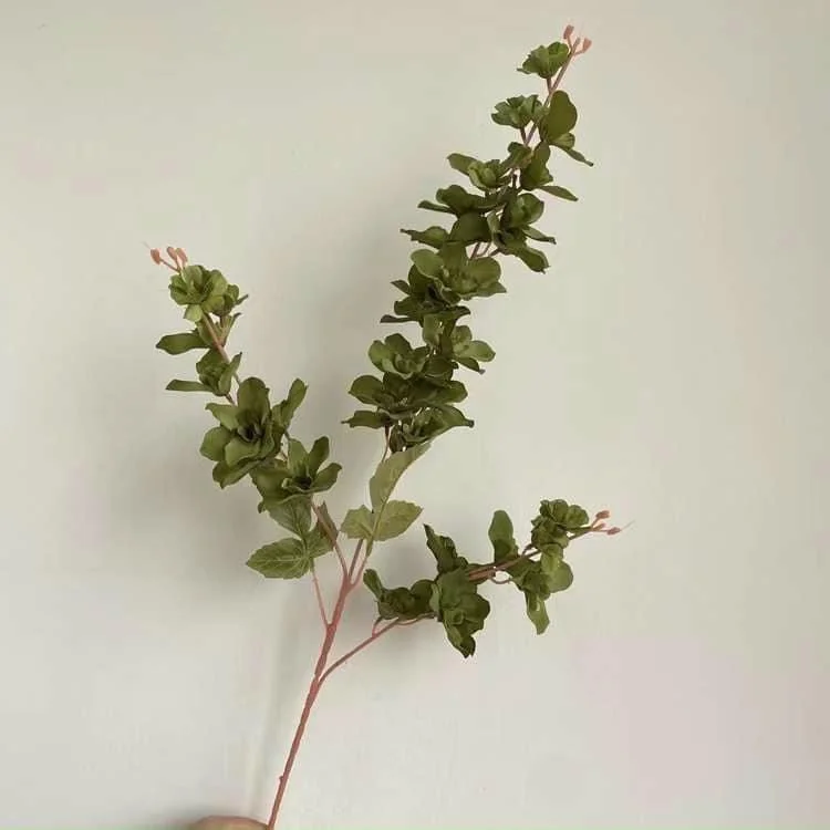 MỘC HƯƠNG - Ảnh 6