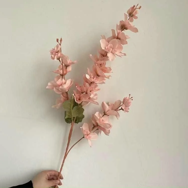 MỘC HƯƠNG - Ảnh 2
