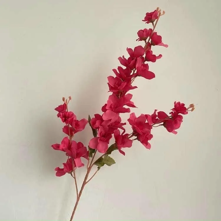 MỘC HƯƠNG - Ảnh 8