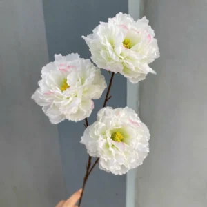 MỘC TRÀ 3B