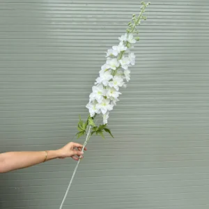 PHI YẾN KHỦNG LONG THÂN PHẤN