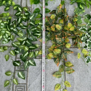RỦ 3 NHÁNH