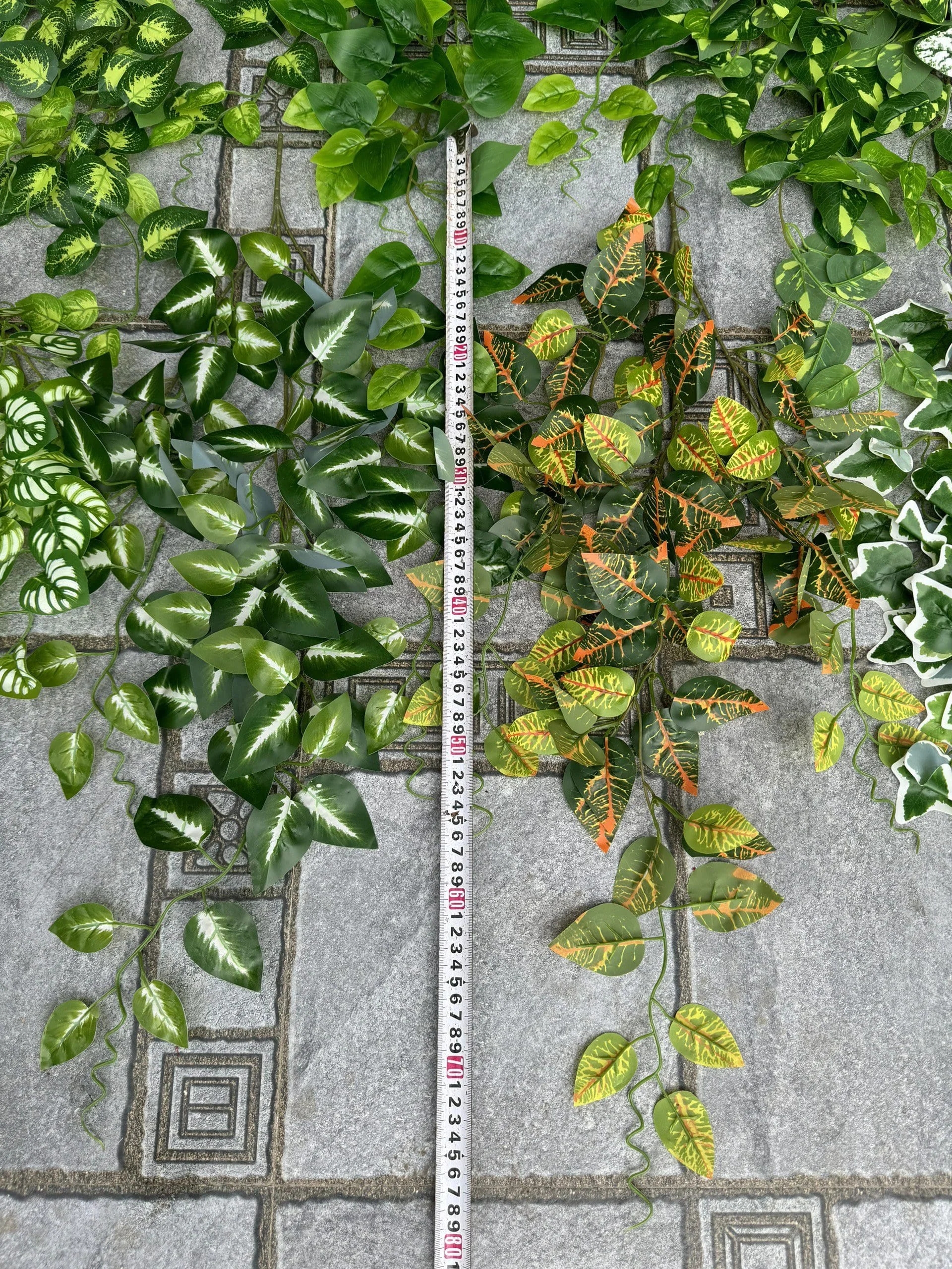 RỦ 3 NHÁNH