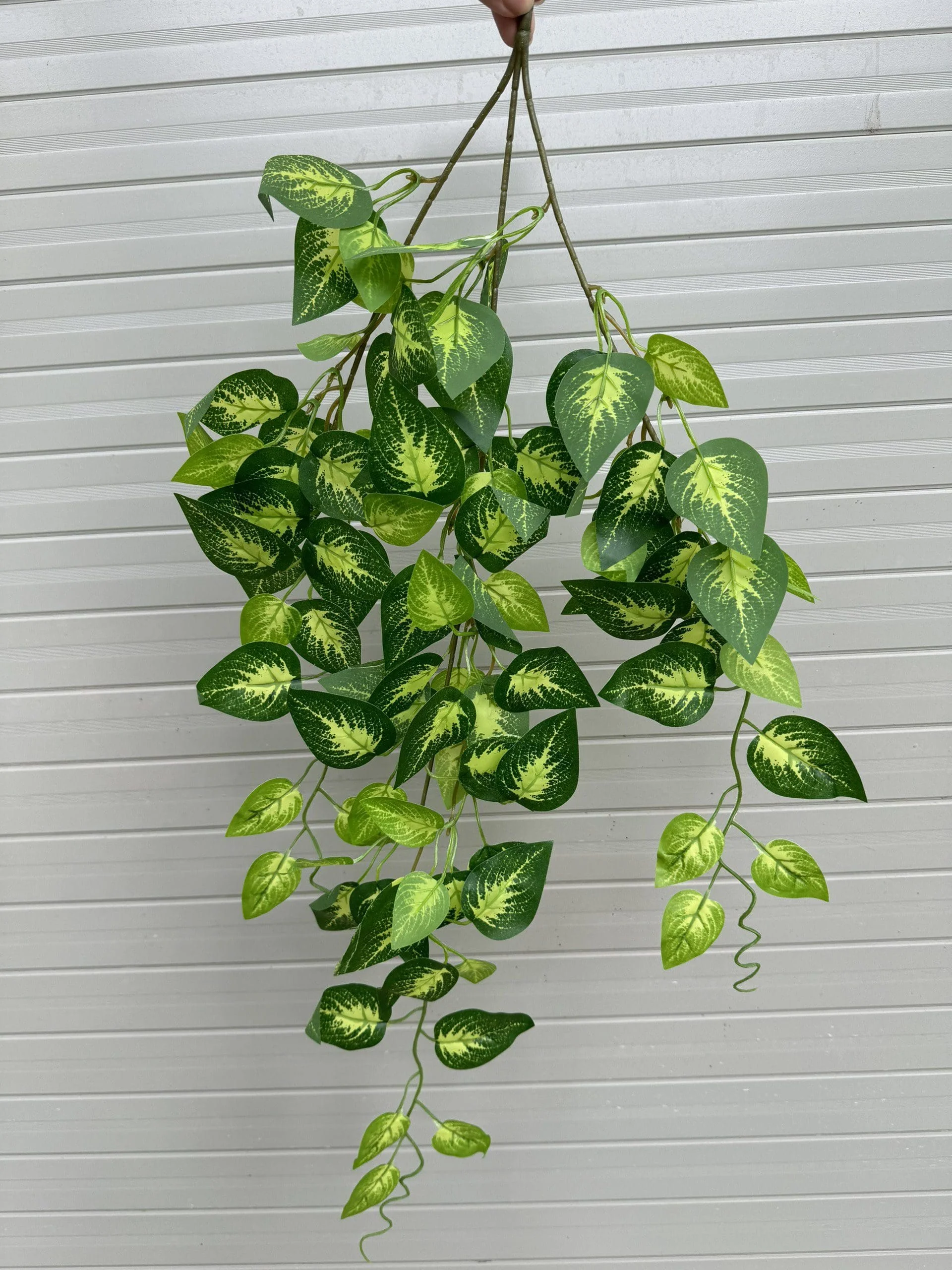 RỦ 3 NHÁNH - Ảnh 6