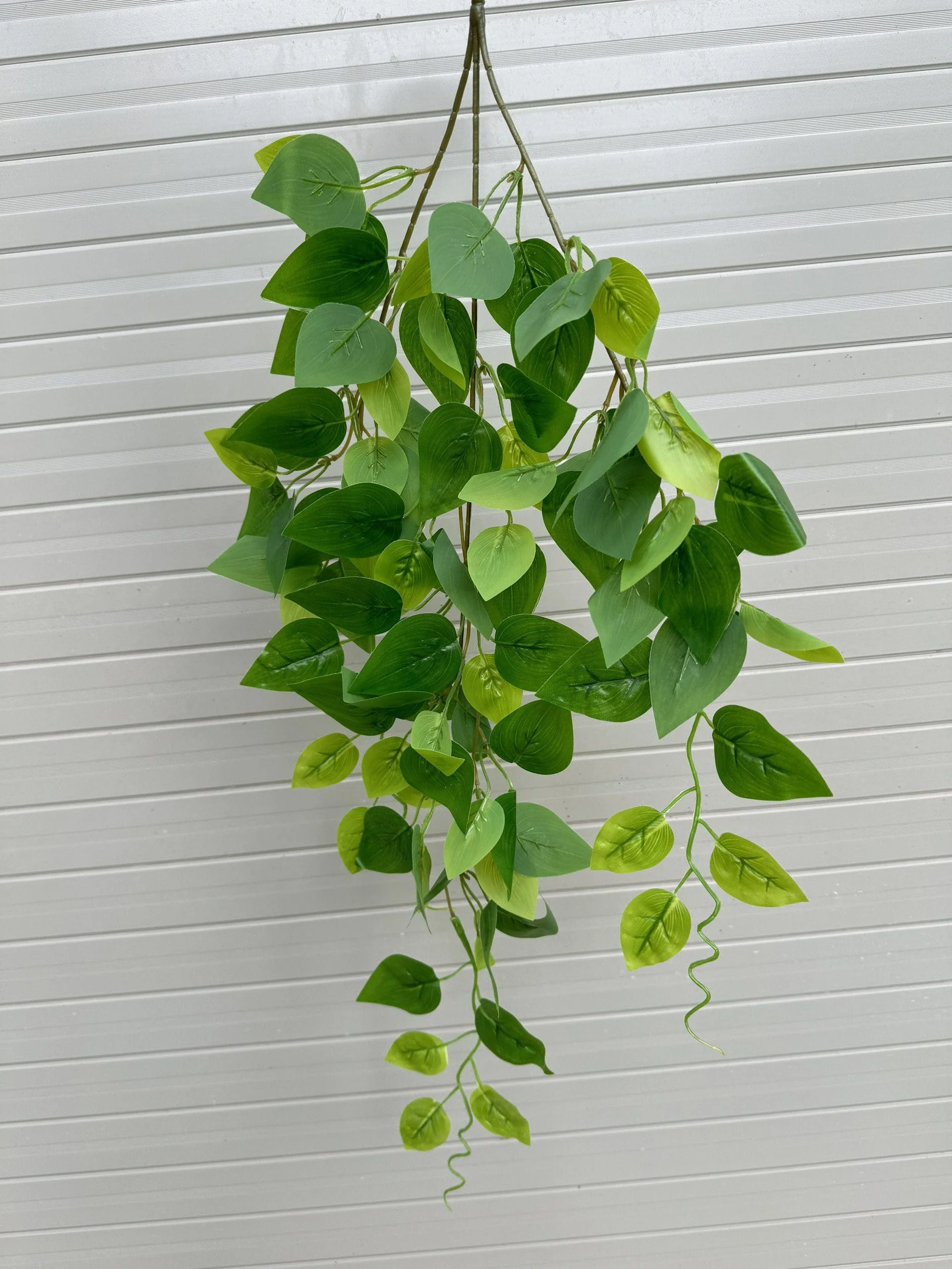 RỦ 3 NHÁNH - Ảnh 5