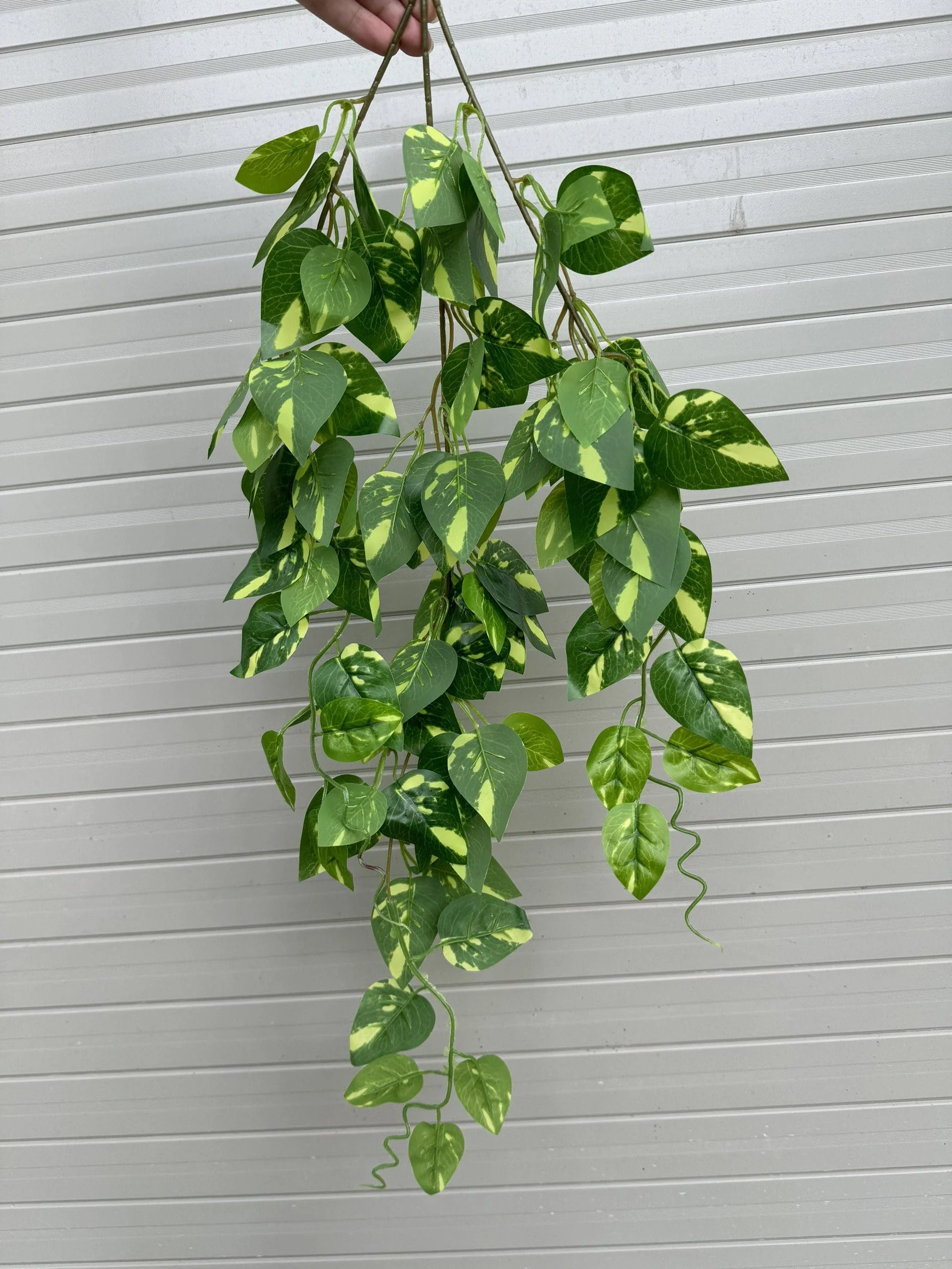 RỦ 3 NHÁNH - Ảnh 17