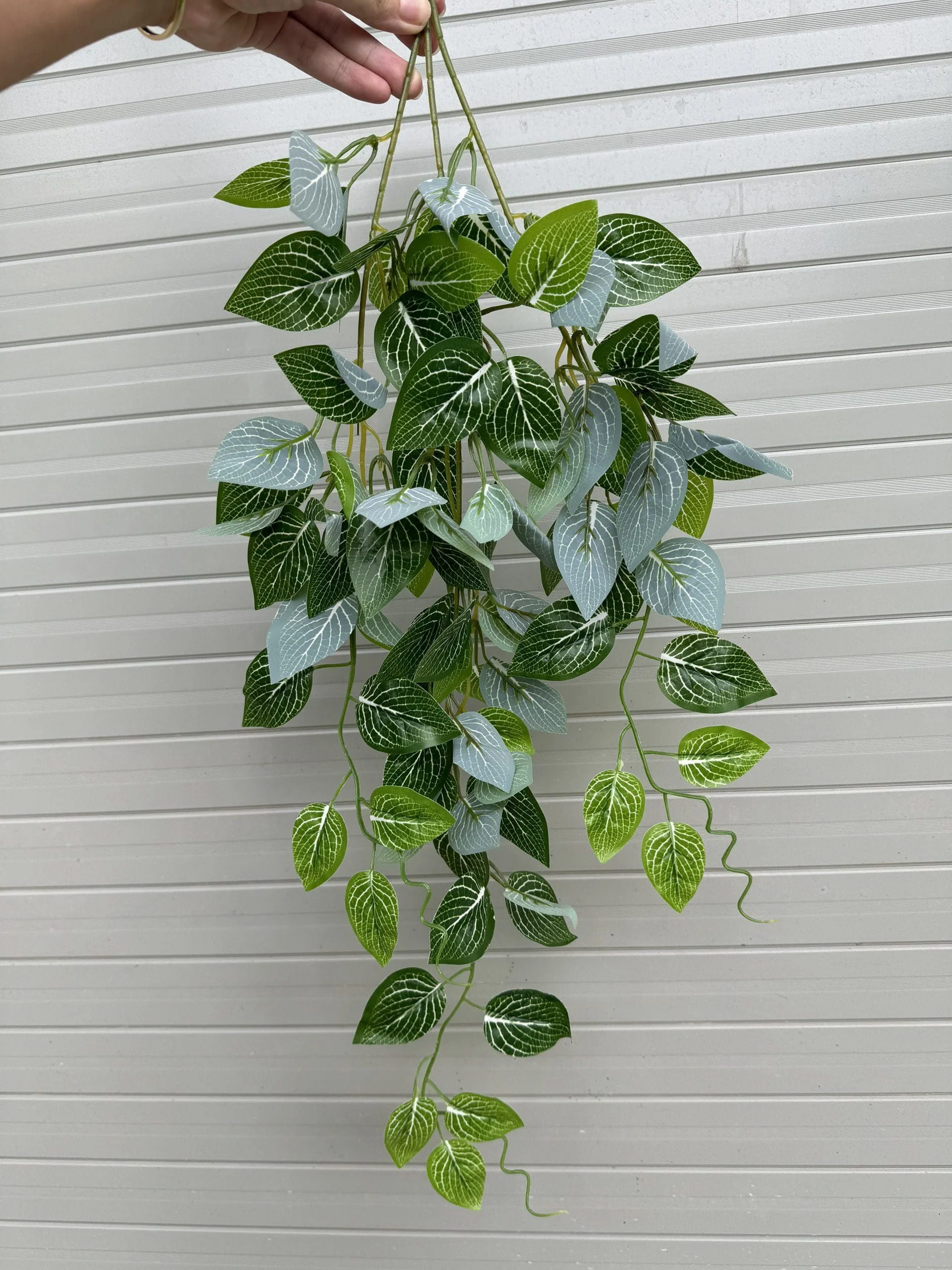 RỦ 3 NHÁNH - Ảnh 20
