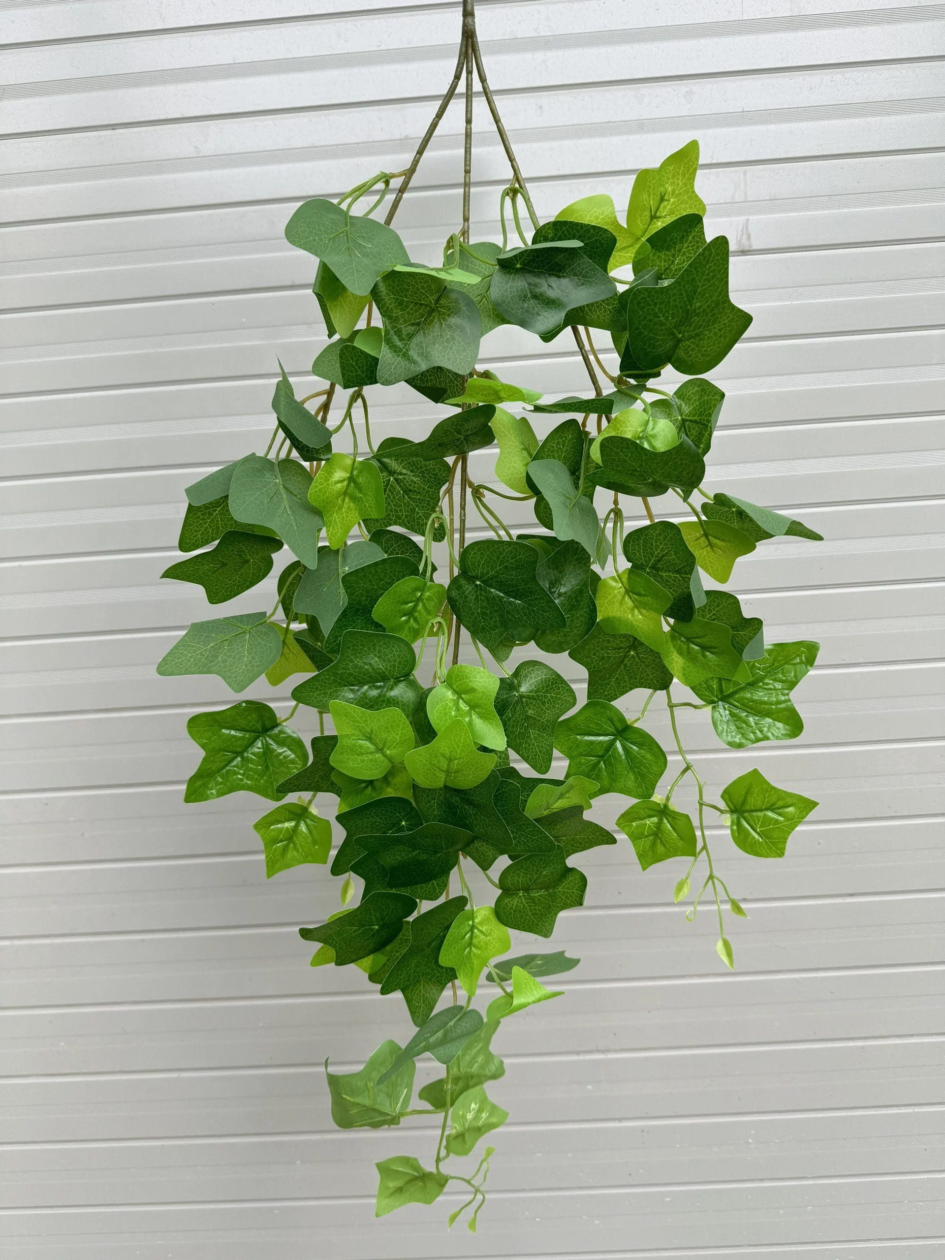 RỦ 3 NHÁNH - Ảnh 10