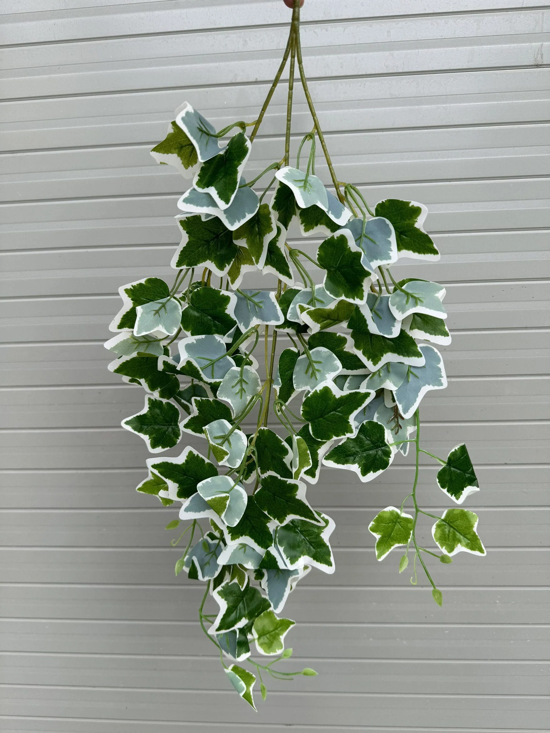 RỦ 3 NHÁNH - Ảnh 2