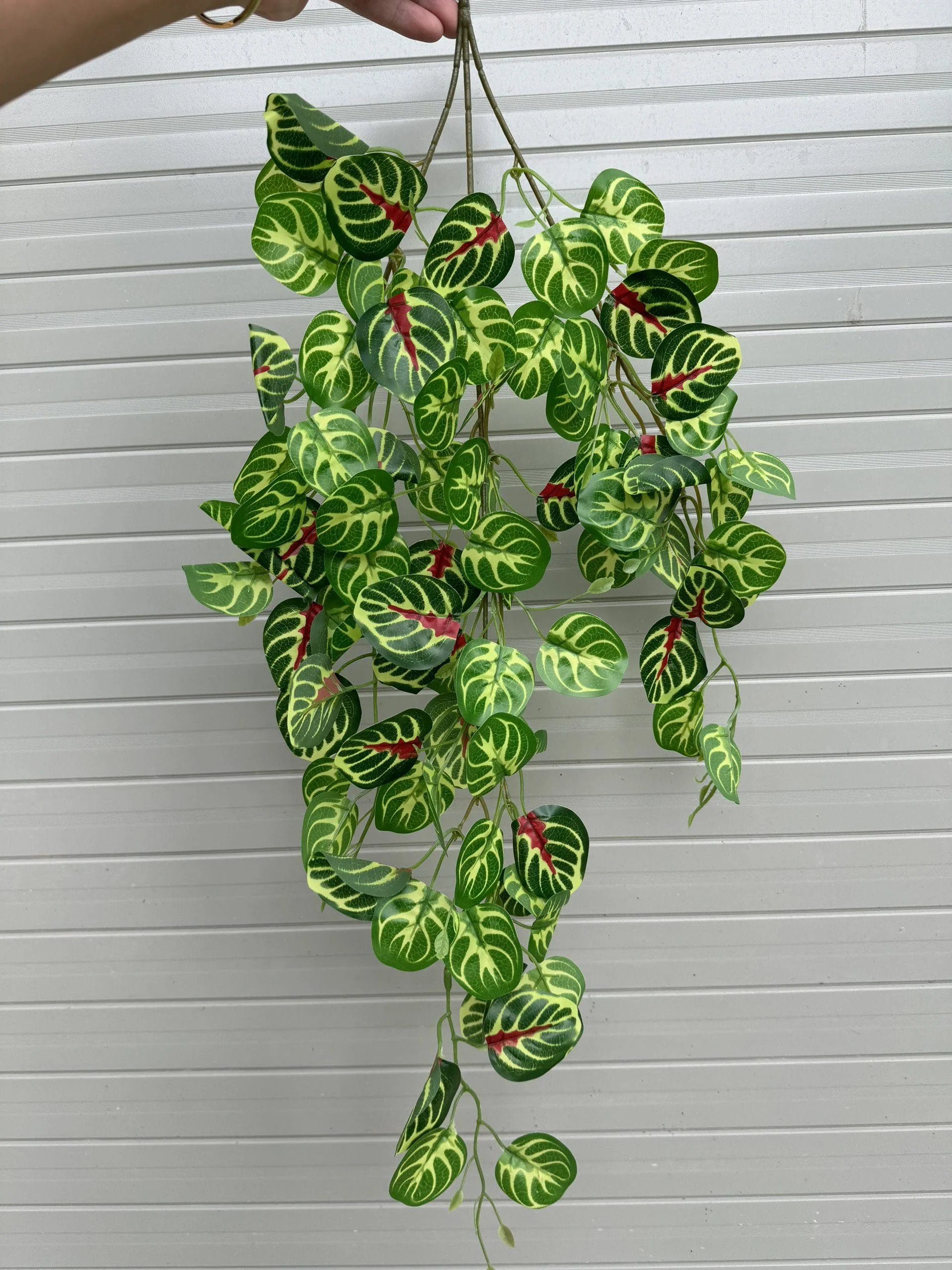 RỦ 3 NHÁNH - Ảnh 12