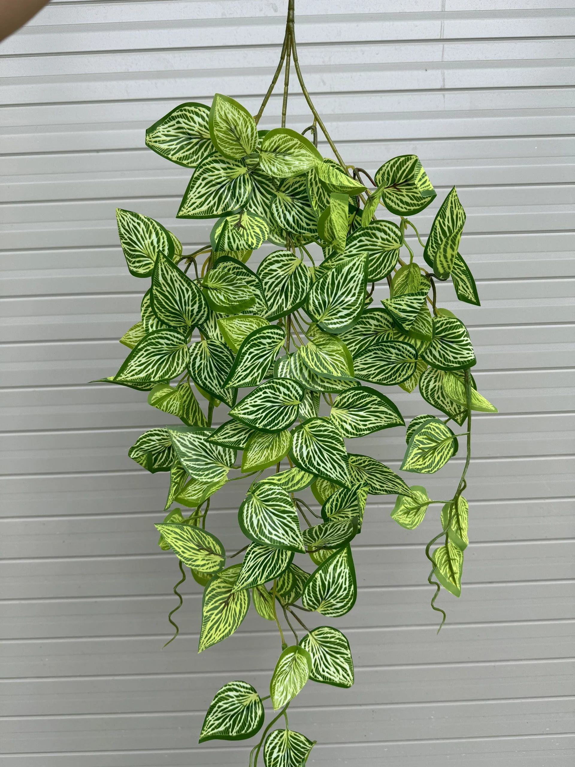 RỦ 3 NHÁNH - Ảnh 13