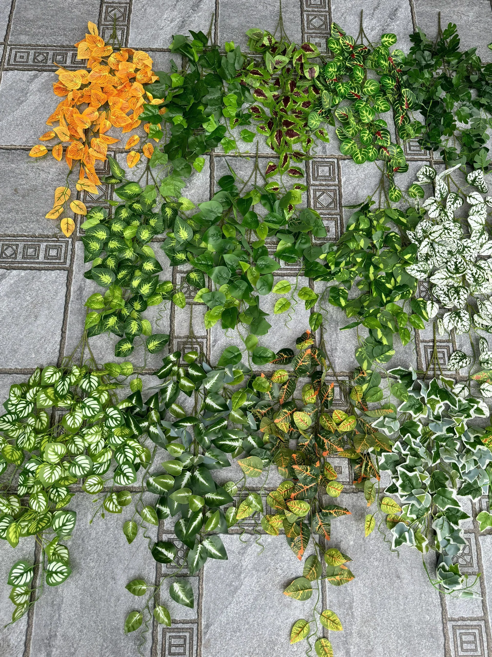 RỦ 3 NHÁNH - Ảnh 19