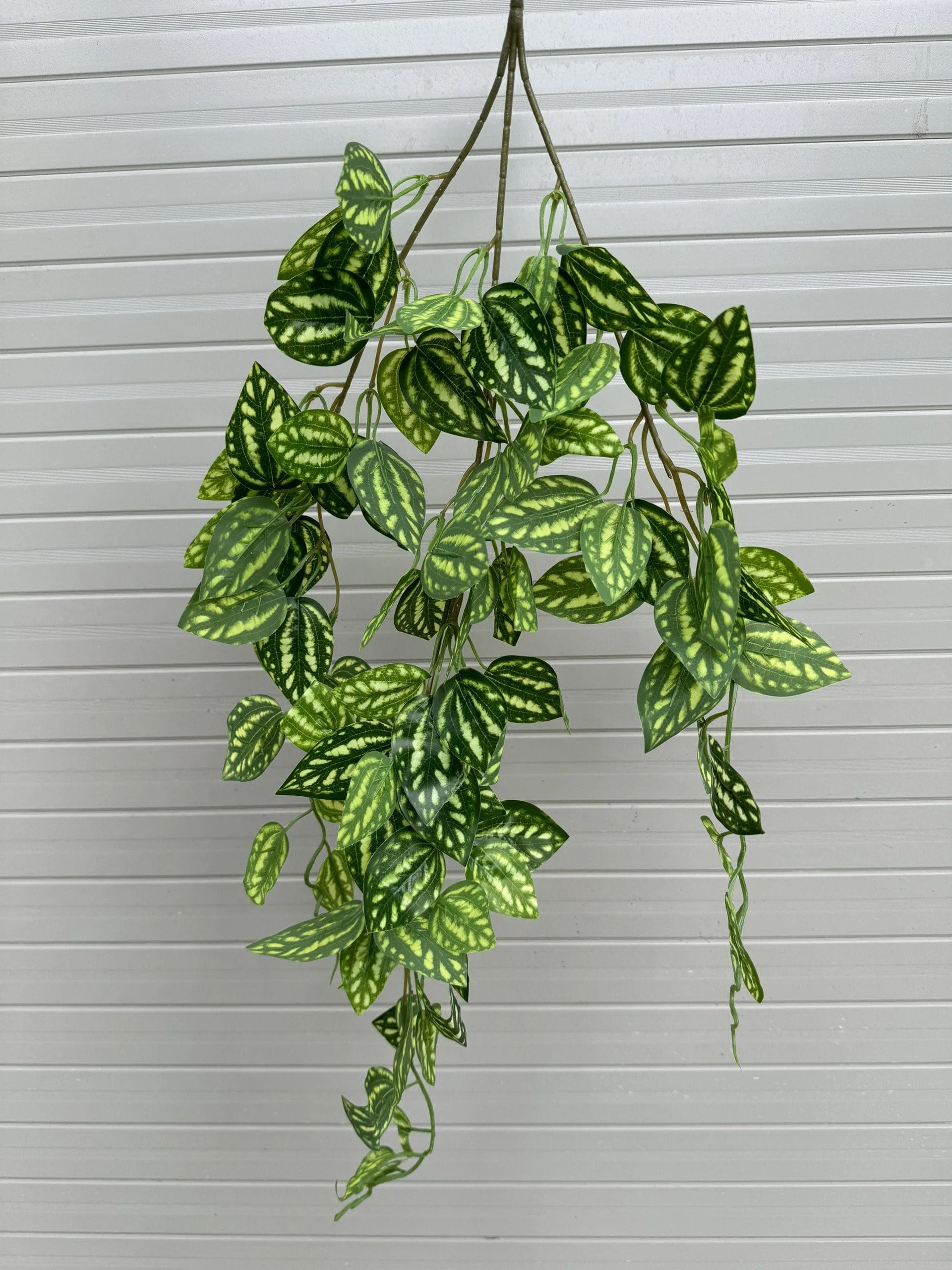 RỦ 3 NHÁNH - Ảnh 11