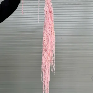 RỦ DỀN KHÔ