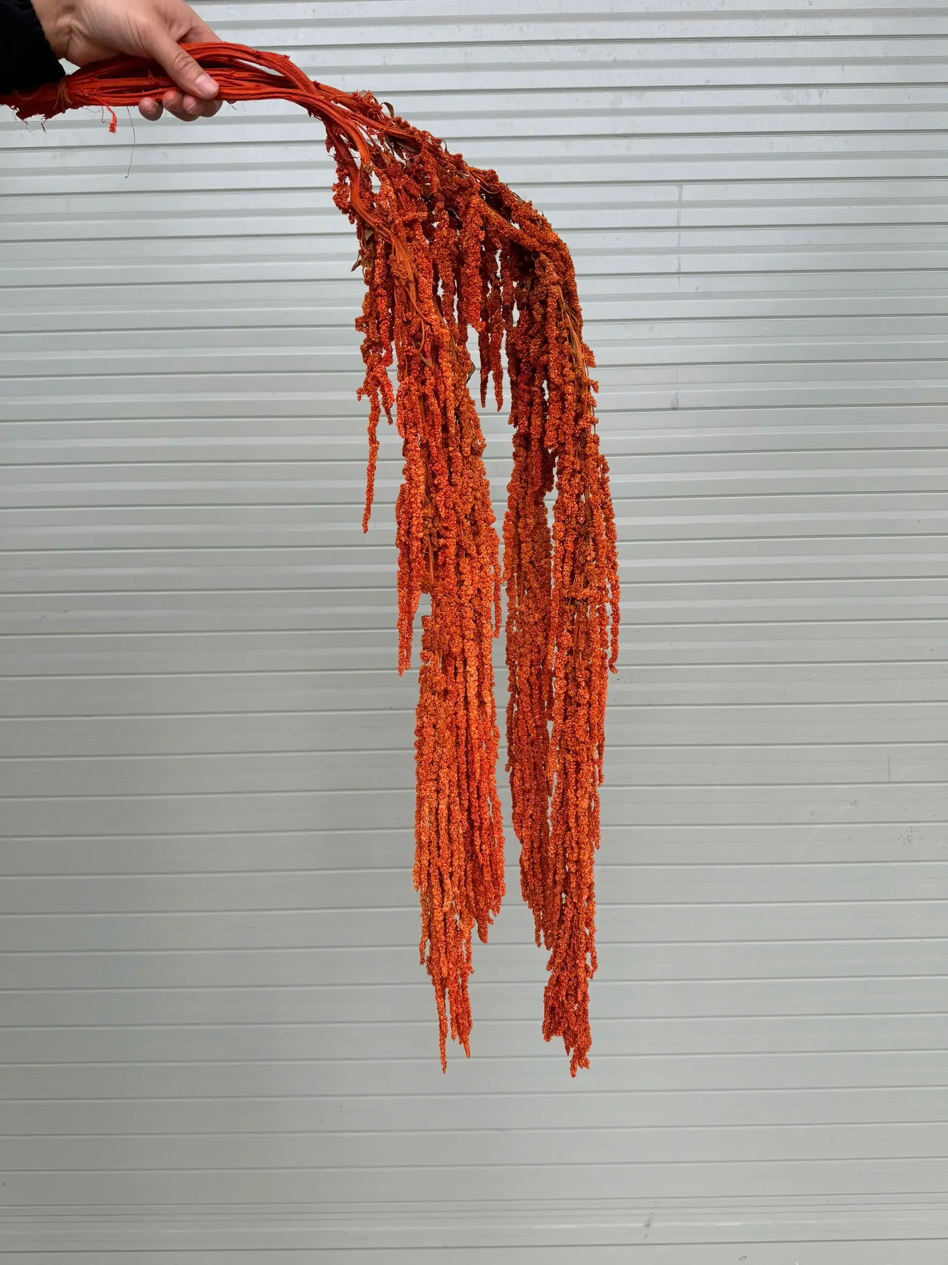 RỦ DỀN KHÔ - Ảnh 10
