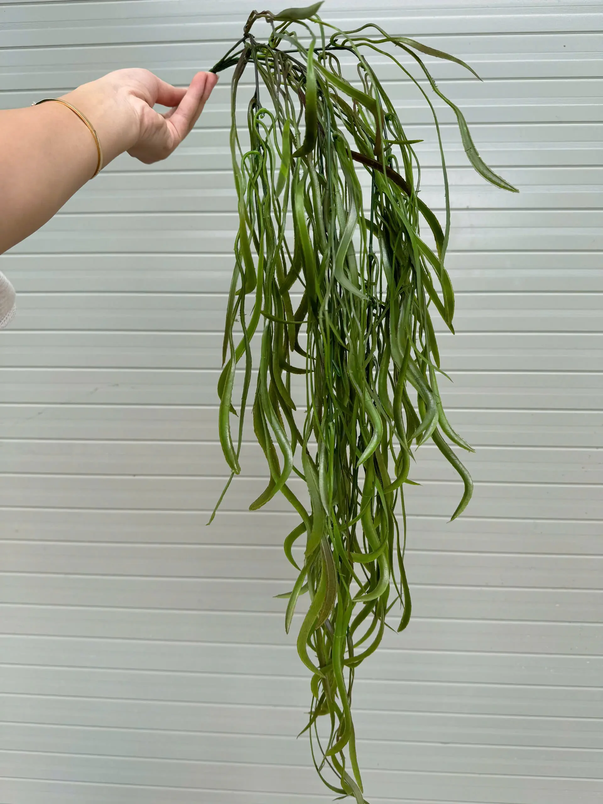 RỦ KEO NHẬP - Ảnh 8