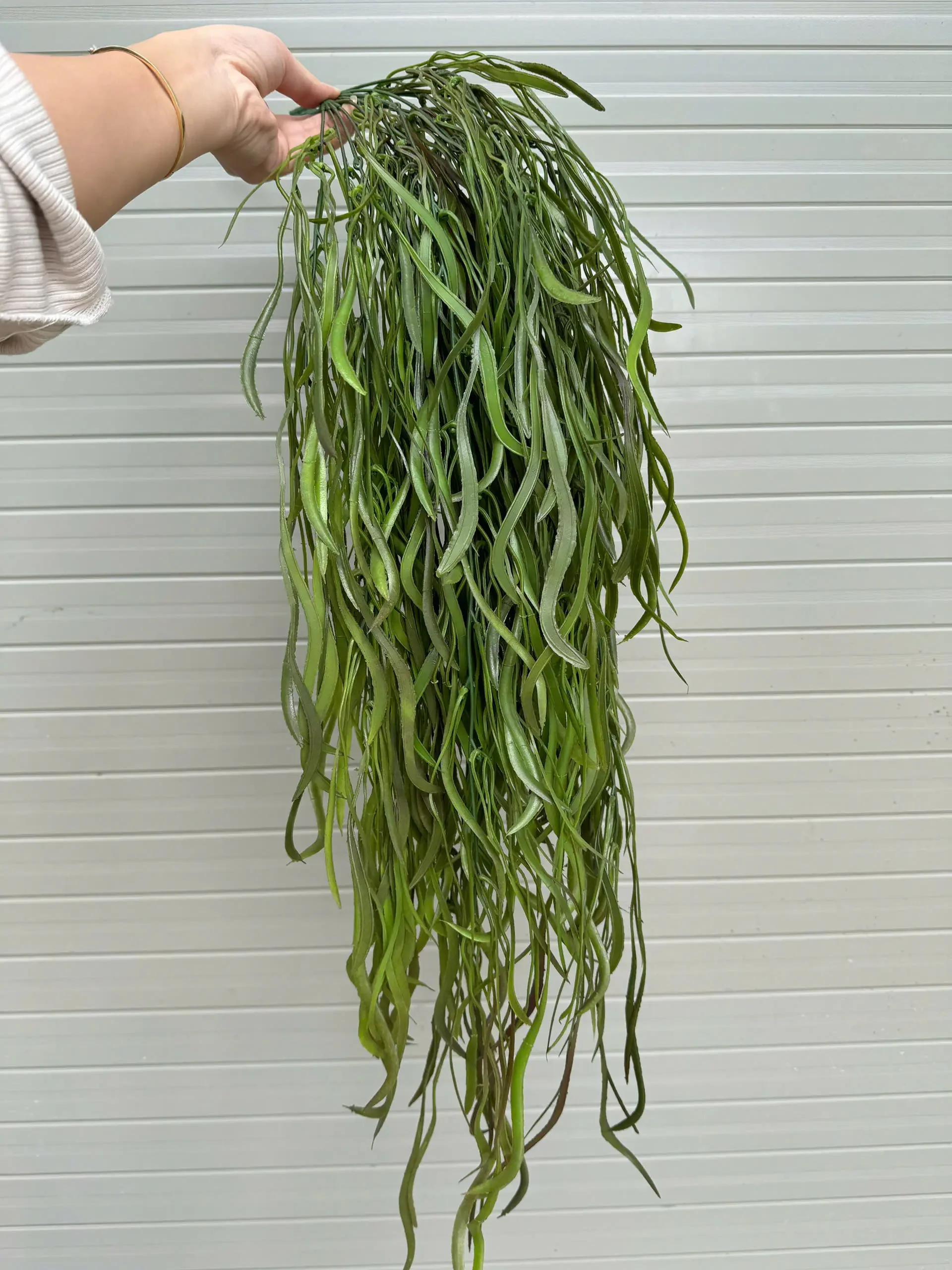 RỦ KEO NHẬP - Ảnh 3