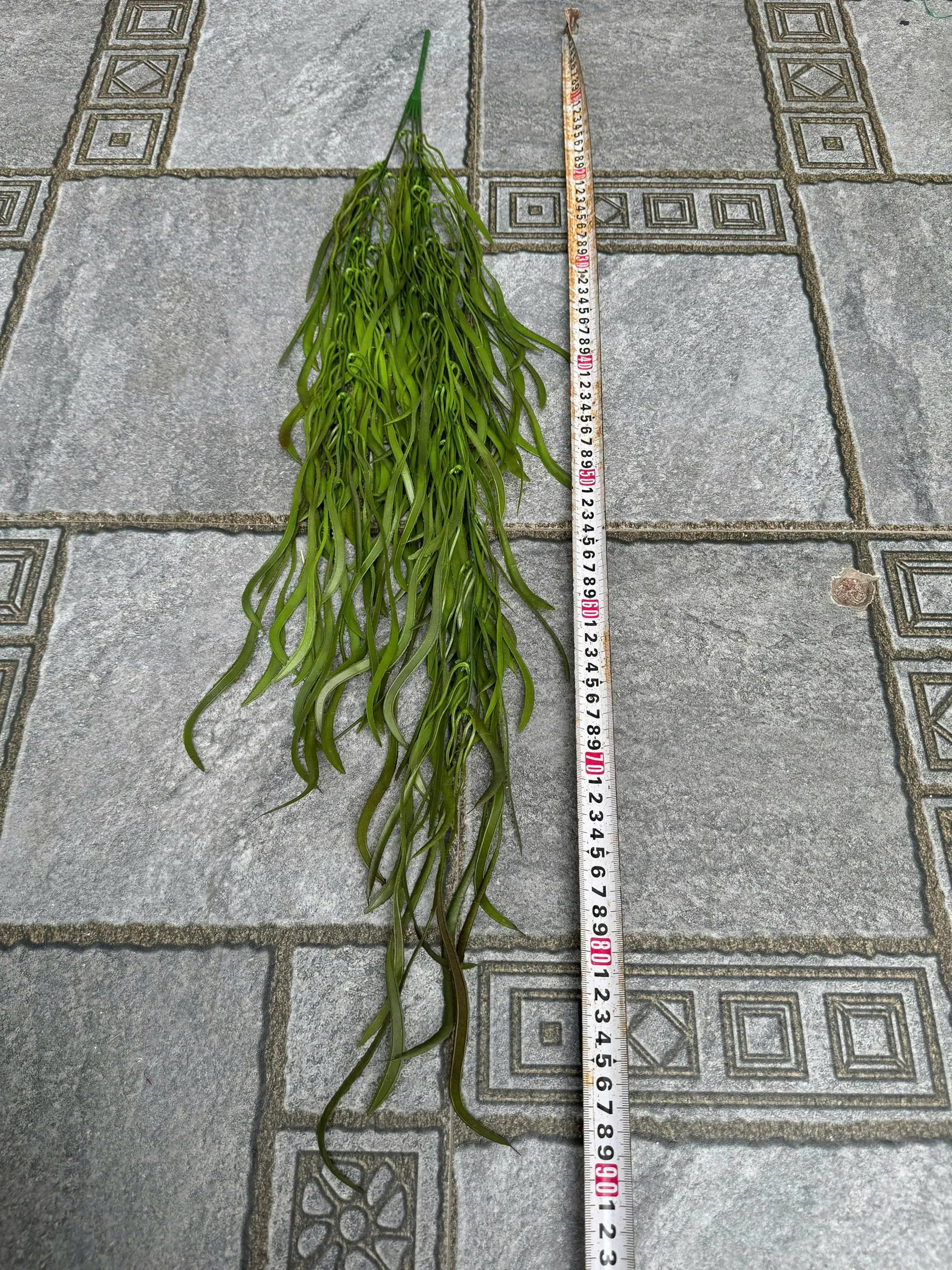 RỦ KEO NHẬP - Ảnh 6