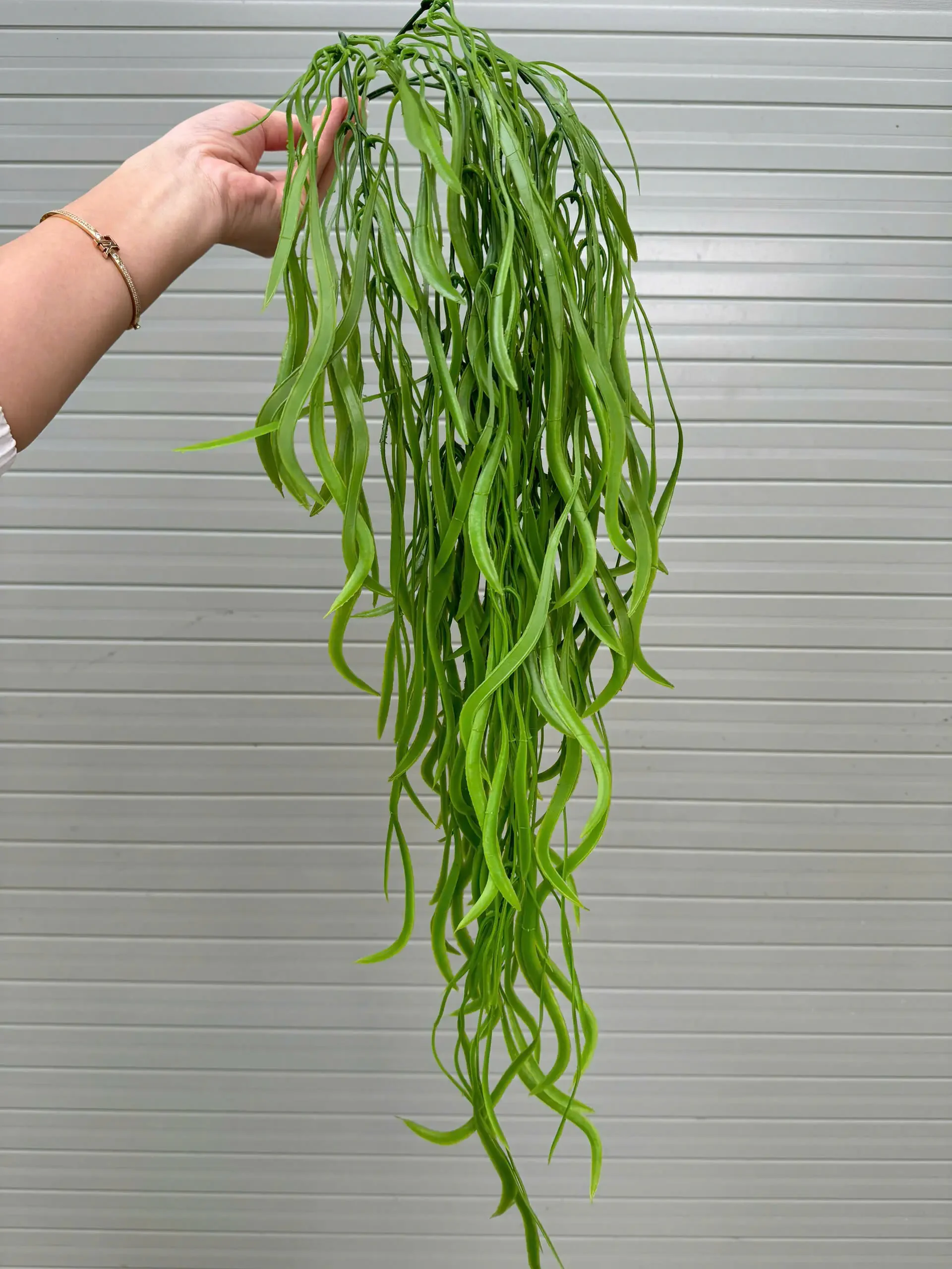 RỦ KEO NHẬP - Ảnh 5