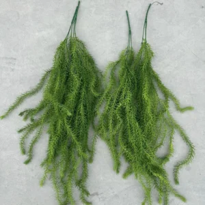 RỦ RONG